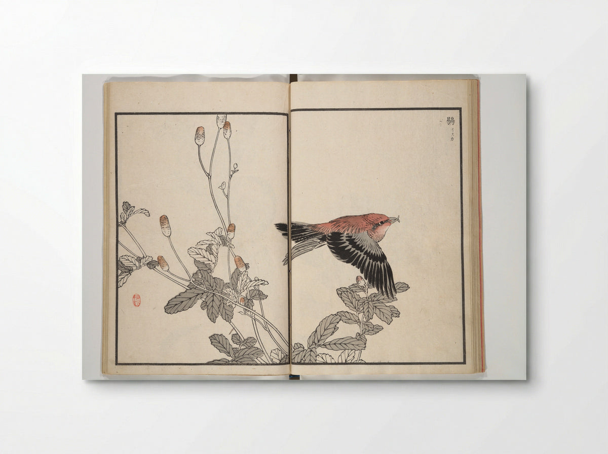 Bairei Picture Album of One Hundred Birds - Kōno Bairei - Poster