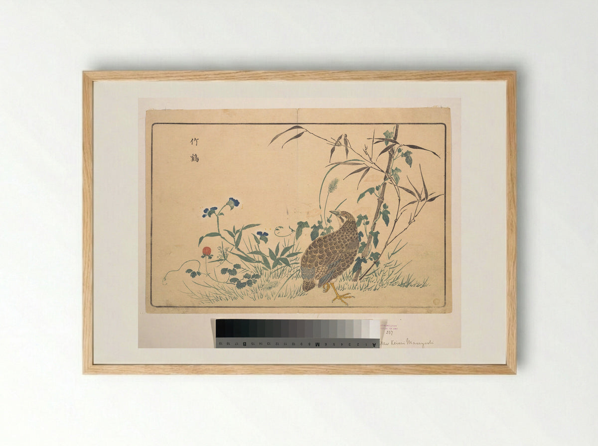 Bamboo and Bamboo Partridge - Kuwagata Keisai - Framed Print Wood