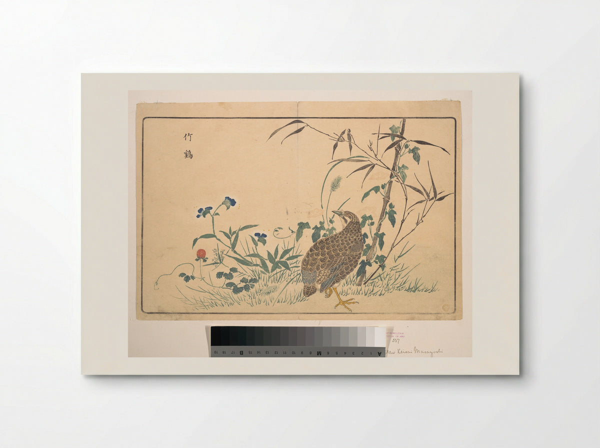 Bamboo and Bamboo Partridge - Kuwagata Keisai - Poster
