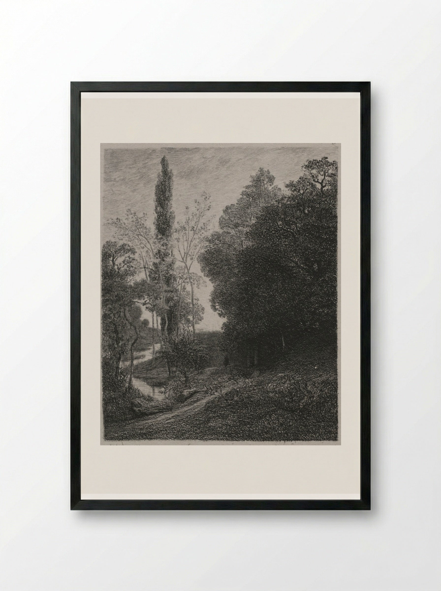 Banks of the River Cousin - Charles François Daubigny - Framed Print Black