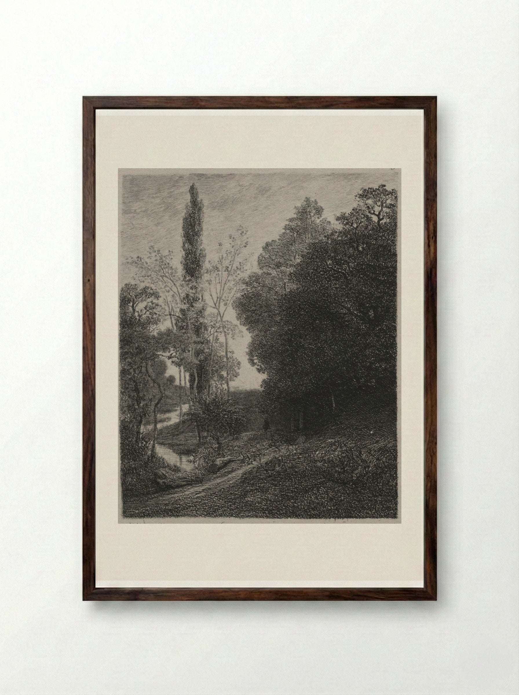 Banks of the River Cousin - Charles François Daubigny - Framed Print Dark Wood