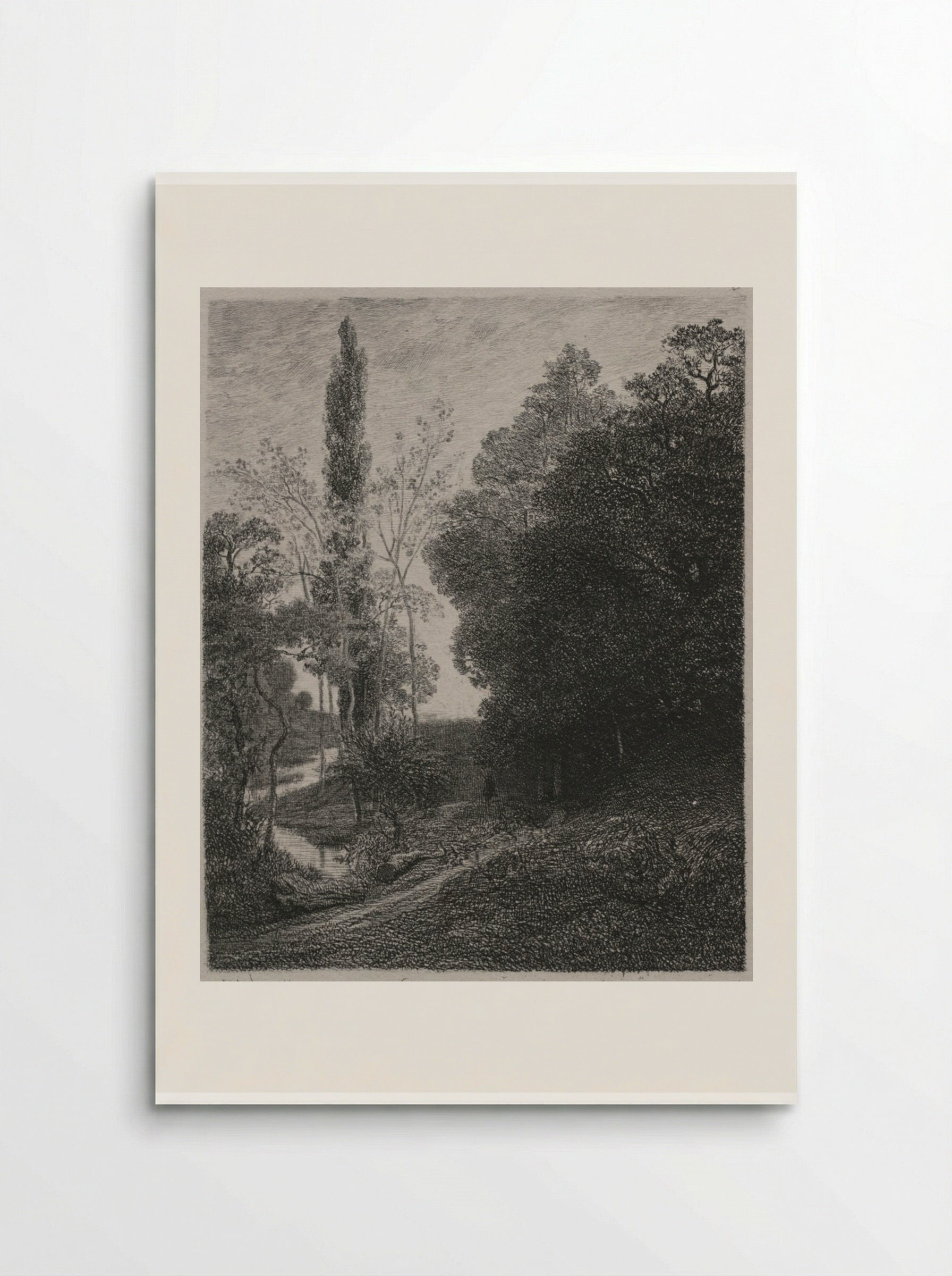 Banks of the River Cousin - Charles François Daubigny - Poster