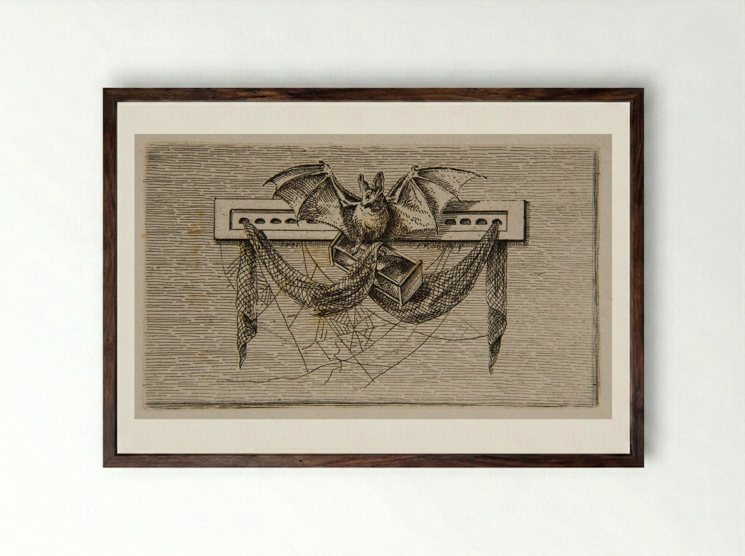 Bat (Etching) - Ferdinand Kobell - Framed Print Dark Wood