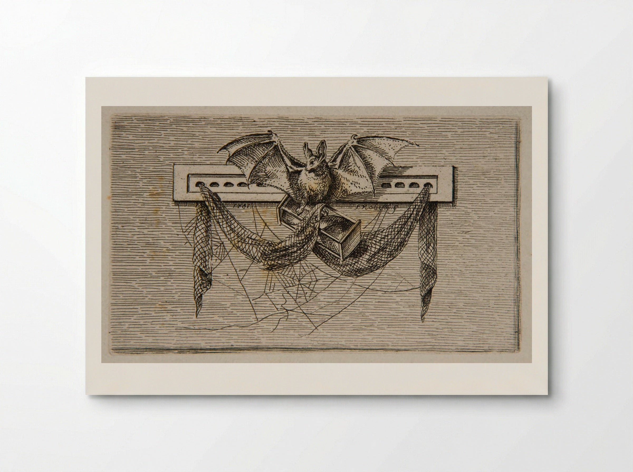 Bat (Etching) - Ferdinand Kobell - Poster