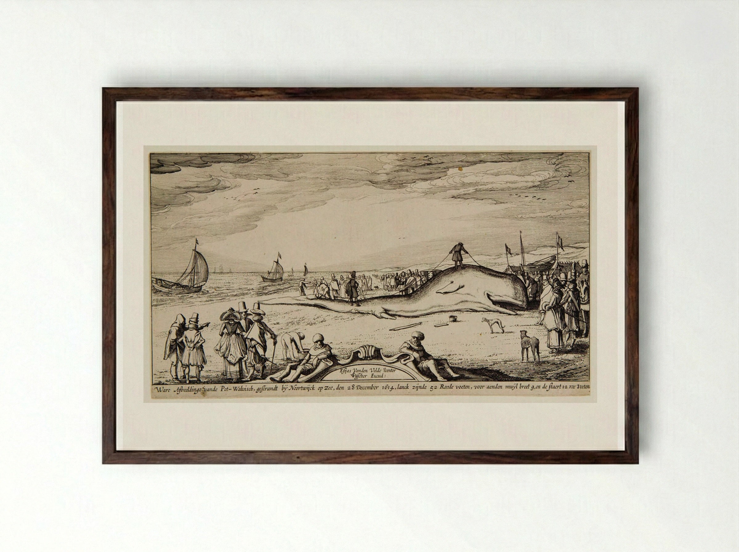 Beached Sperm Whale at Noordwijk - Claes Jansz. Visscher - Framed Print Dark Wood