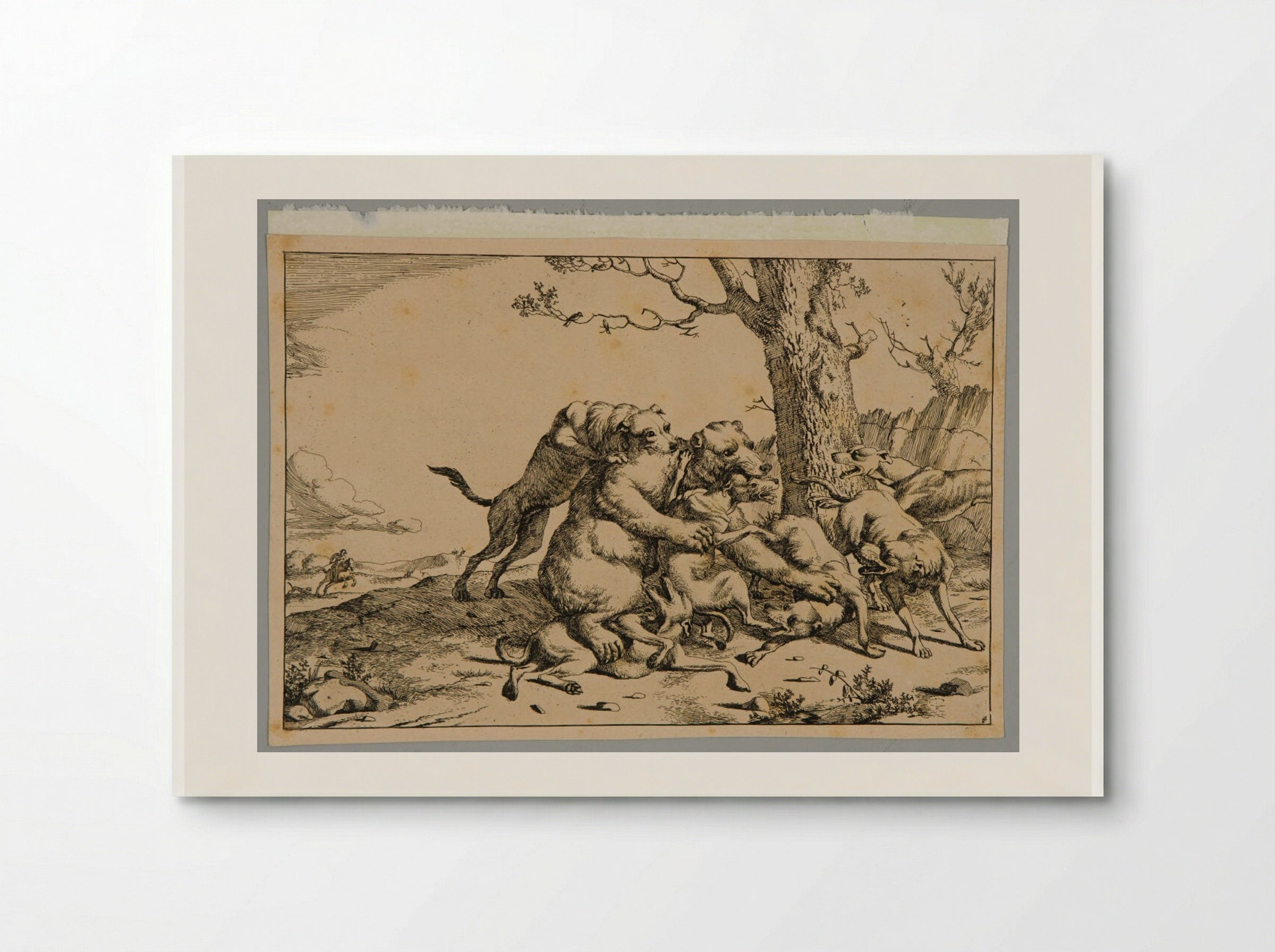 Bear and Dogs - Marcus de Bye - Poster