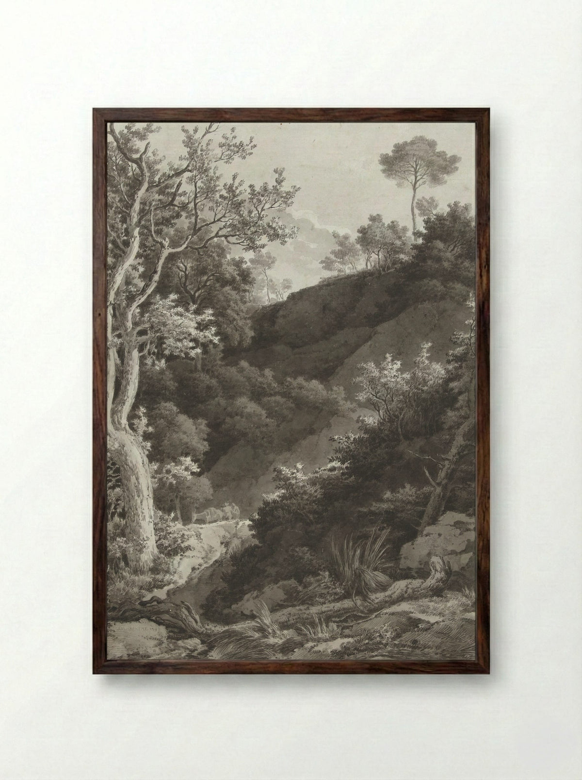 Beboste berghelling (Wooded Hillside) - Jacob Philipp Hackert - Framed Print Dark Wood