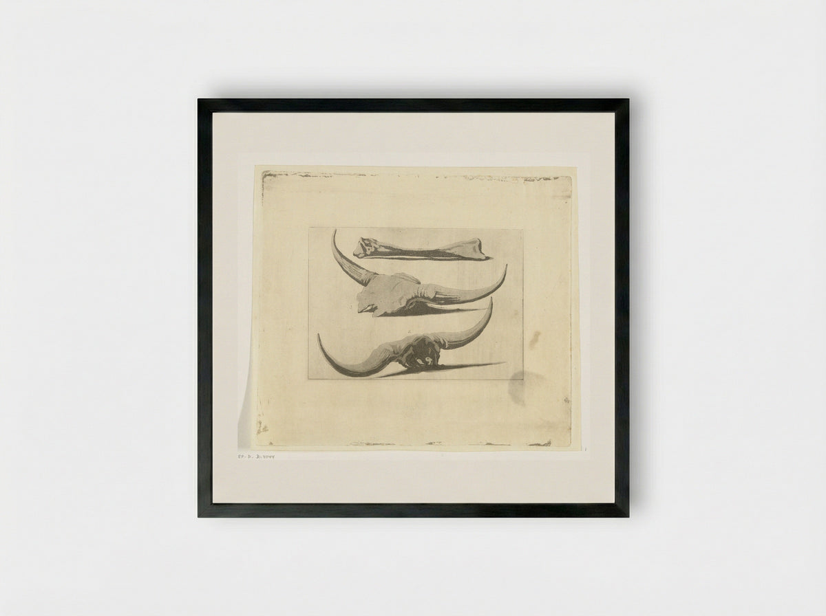 Beenderen van een os - Anthonie van den Bos - Framed Print Black