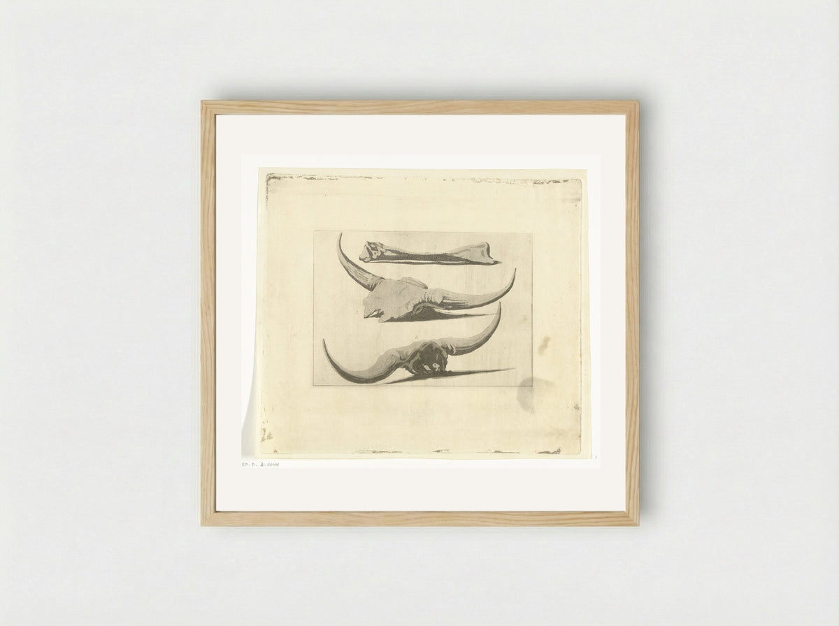Beenderen van een os - Anthonie van den Bos - Framed Print Wood