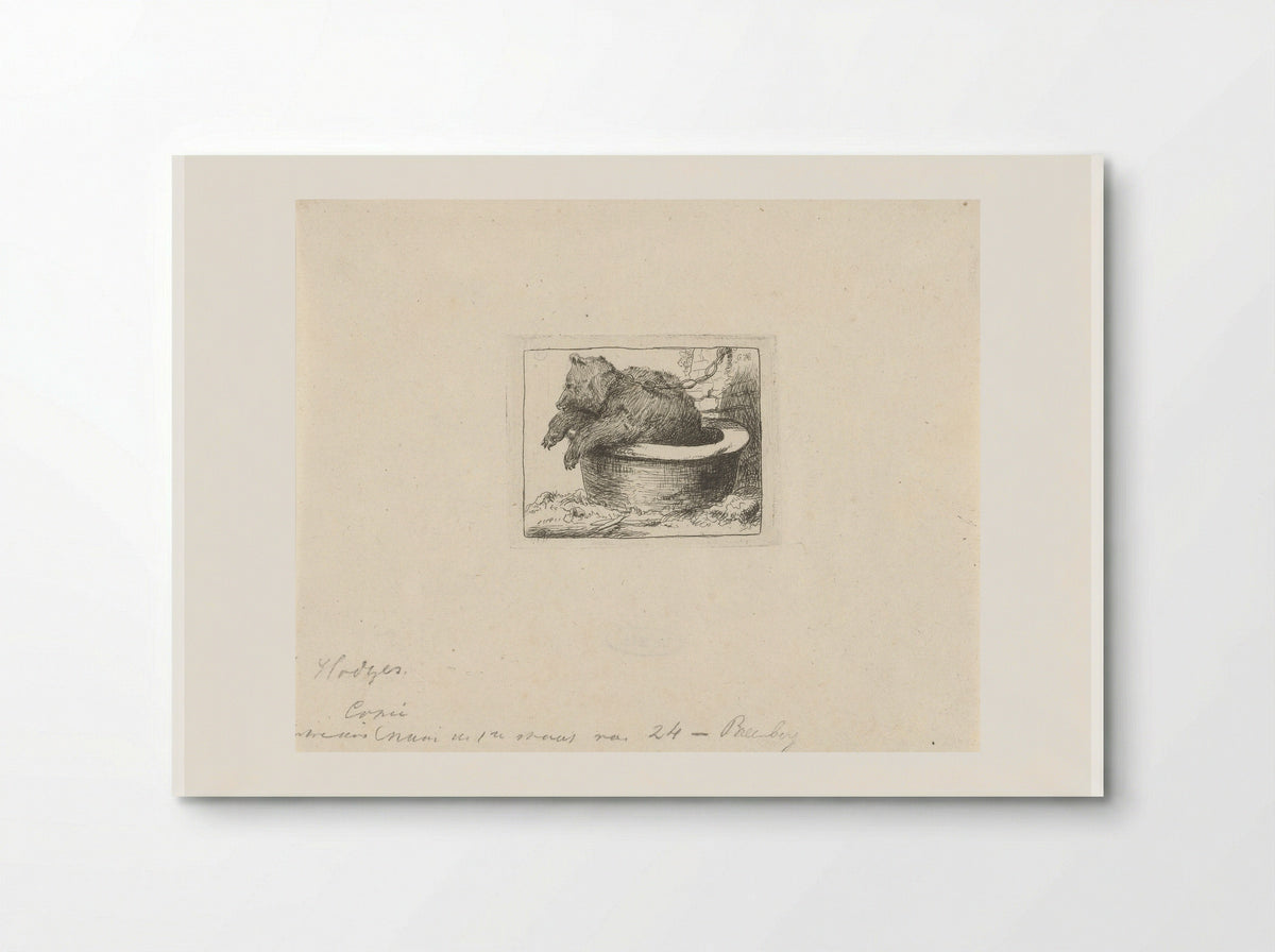 Beer in een bak (Bear in a Tub) - Charles Howard Hodges - Poster
