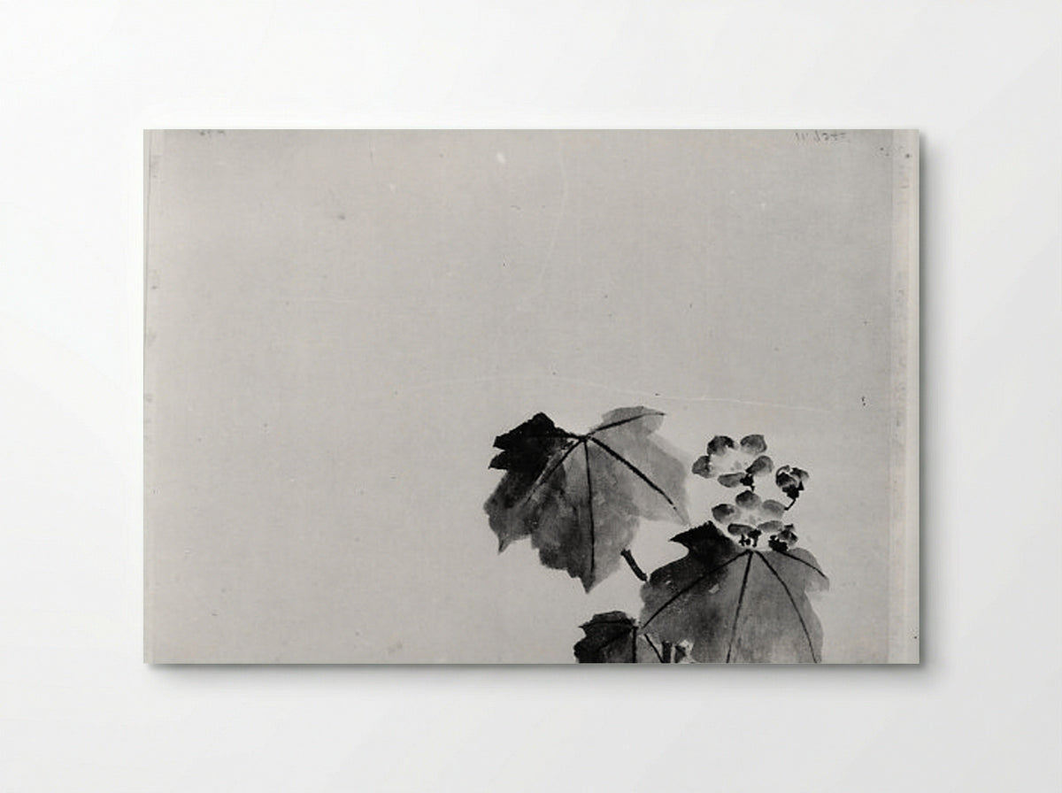 Bellflower (Ink Wash Study) - Hokusai School - Poster