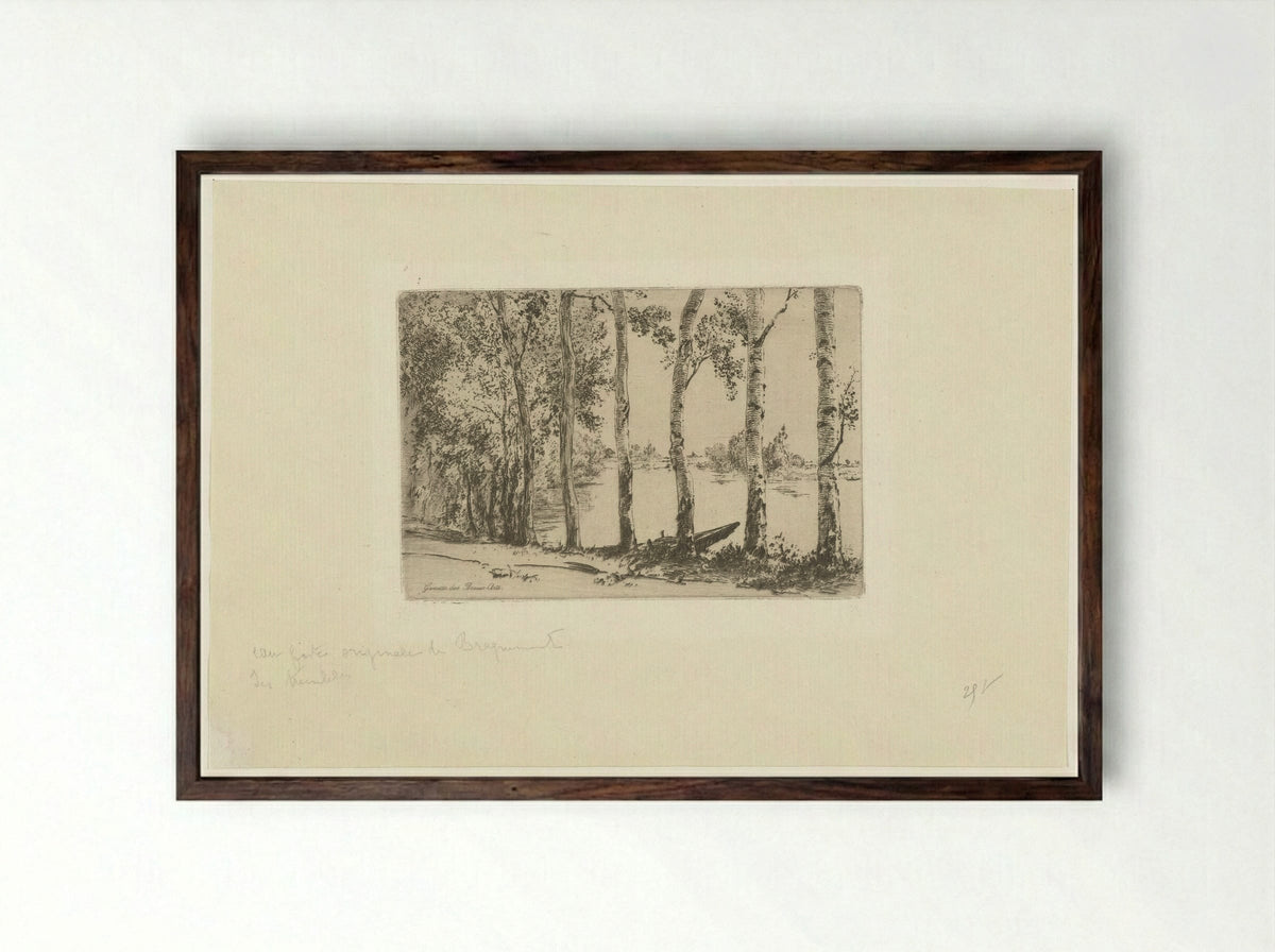 Berken op oever van de Seine - Félix Bracquemond - Framed Print Dark Wood