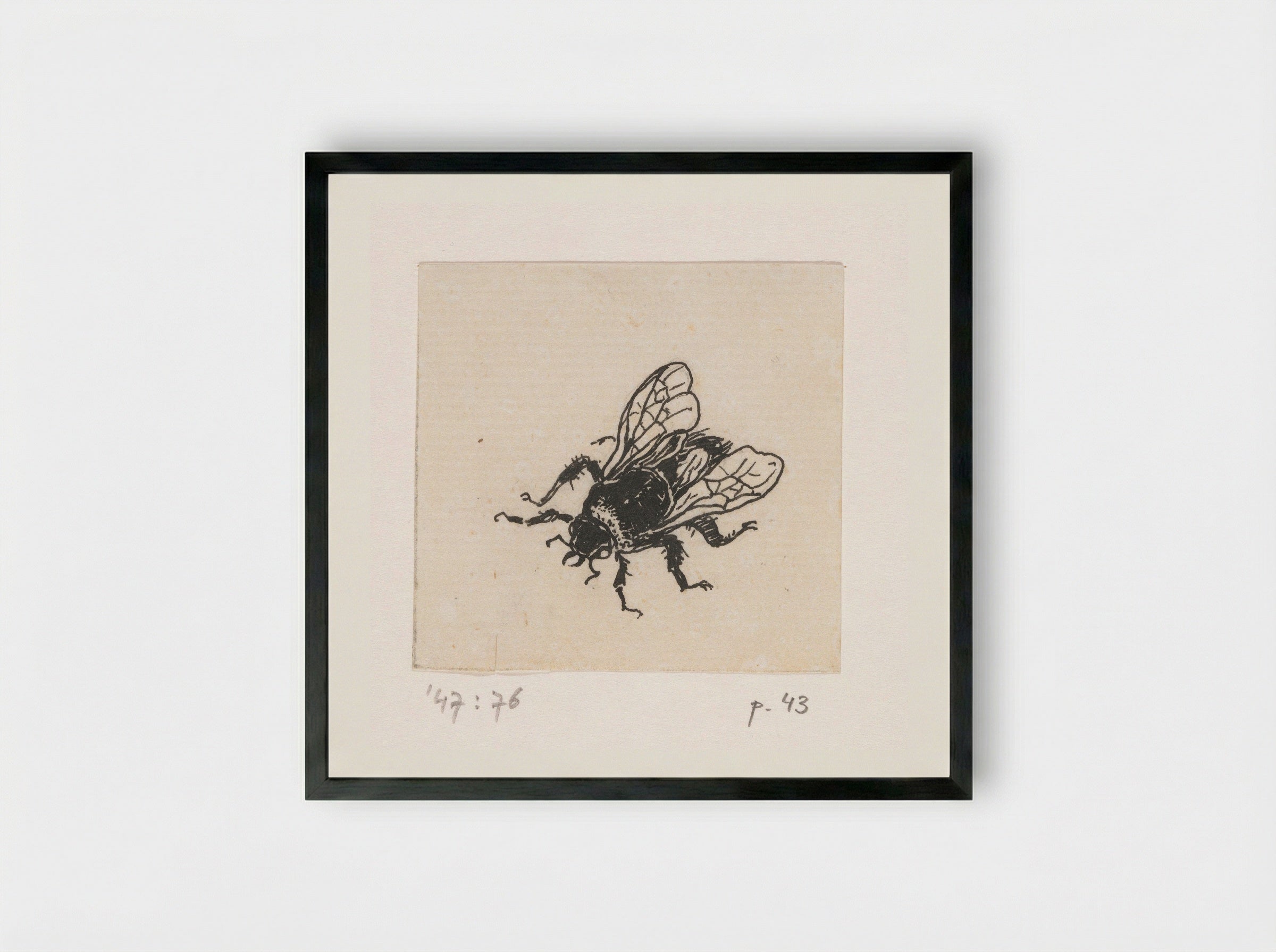 Bij (Bee) - Willem Wenckebach - Framed Print Black