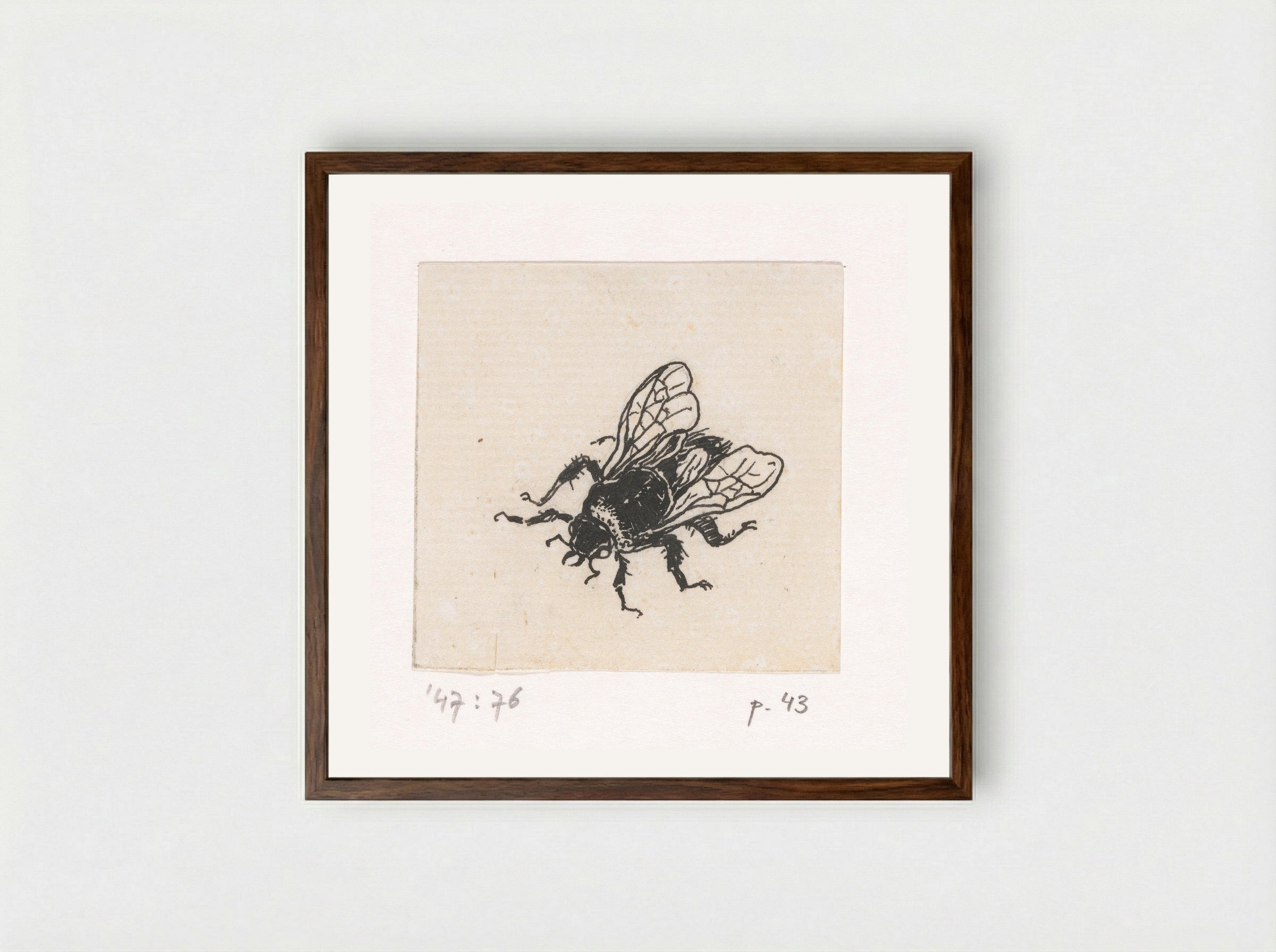 Bij (Bee) - Willem Wenckebach - Framed Print Dark Wood