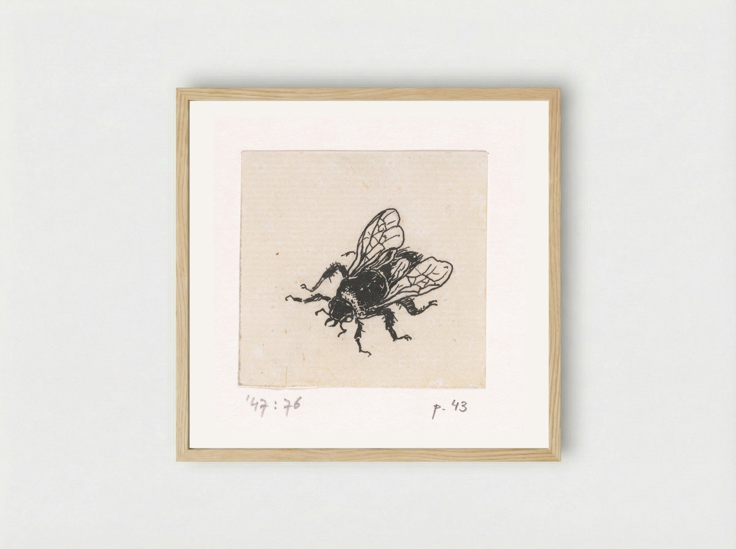 Bij (Bee) - Willem Wenckebach - Framed Print Wood