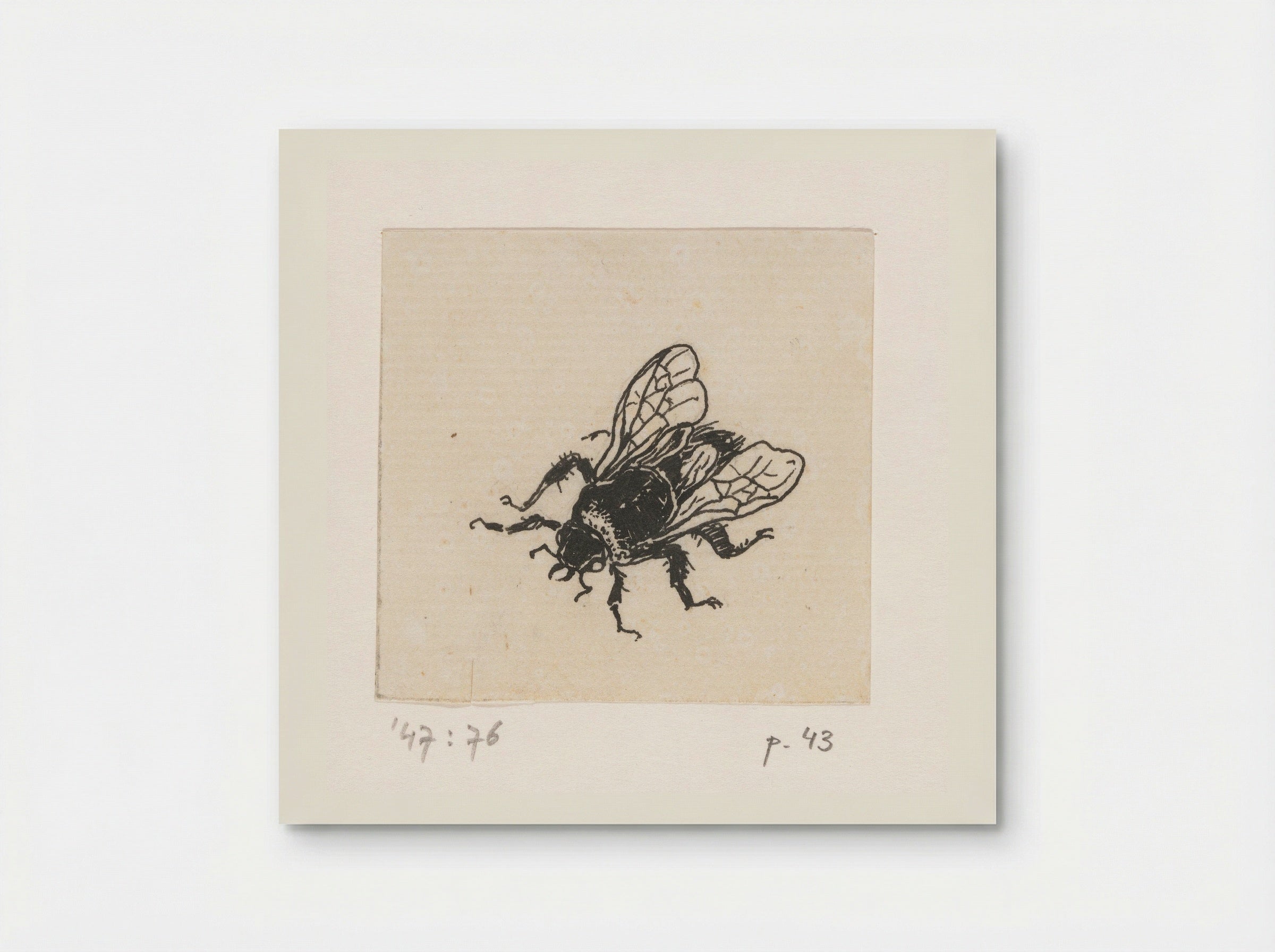 Bij (Bee) - Willem Wenckebach - Poster