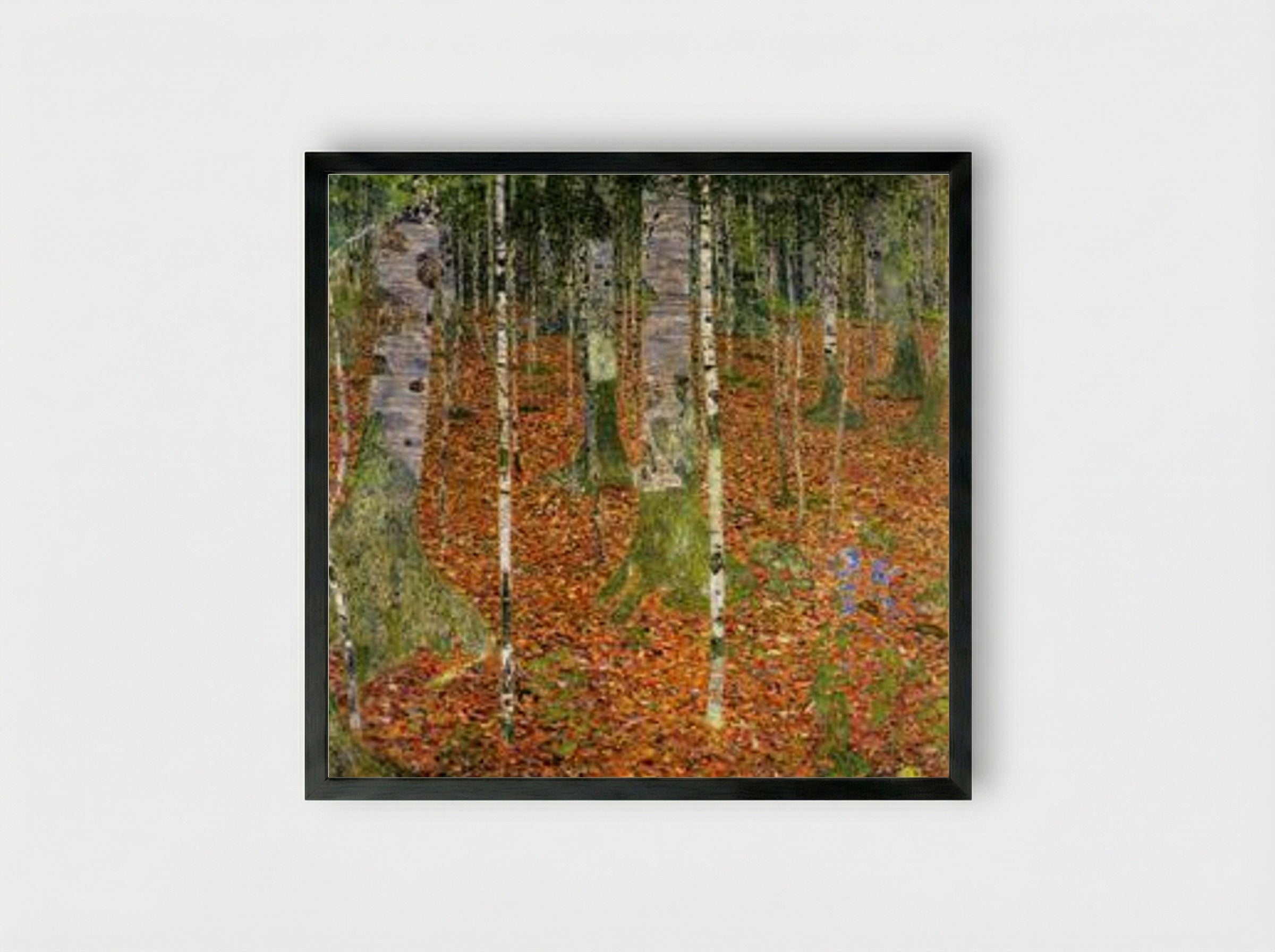 Birch Forest - Gustav Klimt - Framed Print Black