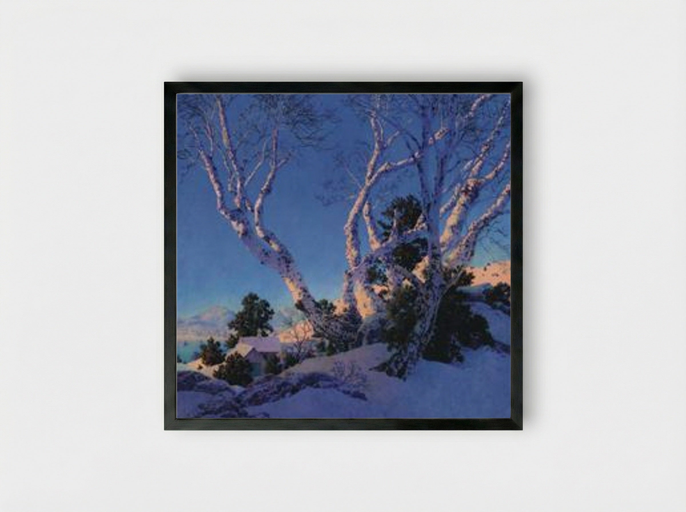 Birches in Winter - Maxfield Parrish - Framed Print Black