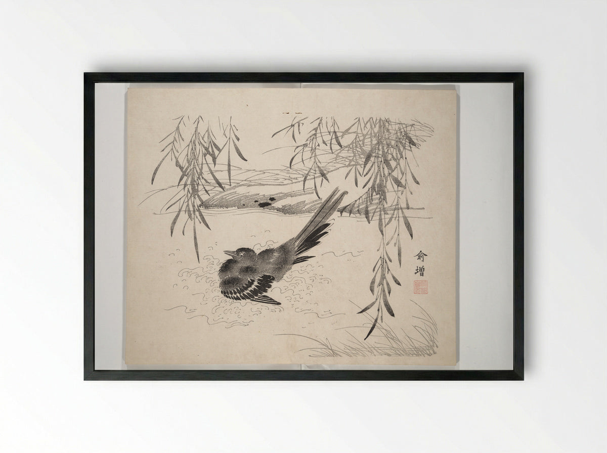 Bird Bathing Beneath Willow - Nakabayashi Chikutō - Framed Print Black