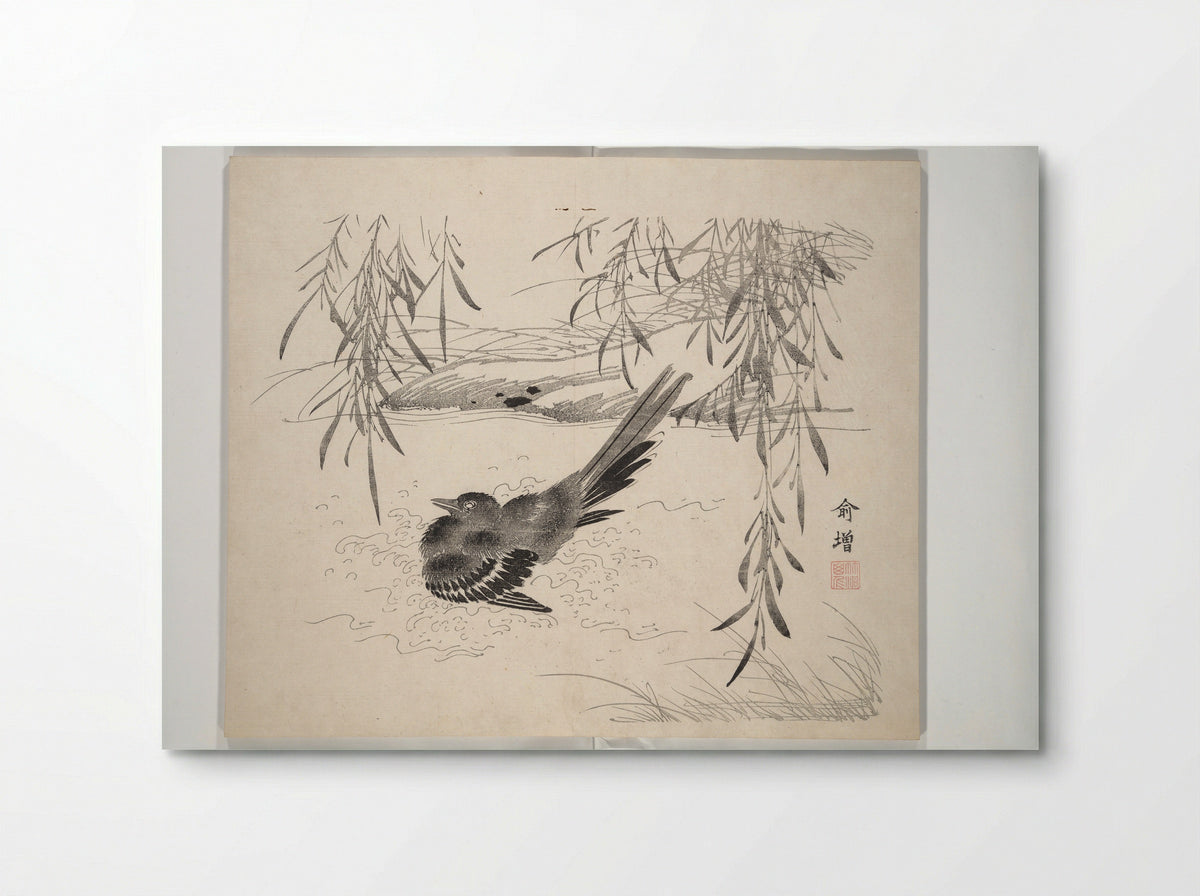 Bird Bathing Beneath Willow - Nakabayashi Chikutō - Poster