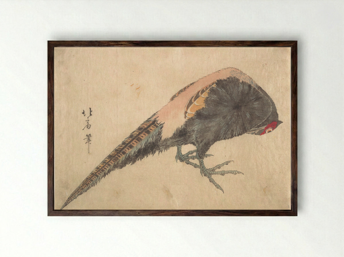 Bird (Woodblock Print) - Hakusanjin Hokui - Framed Print Dark Wood