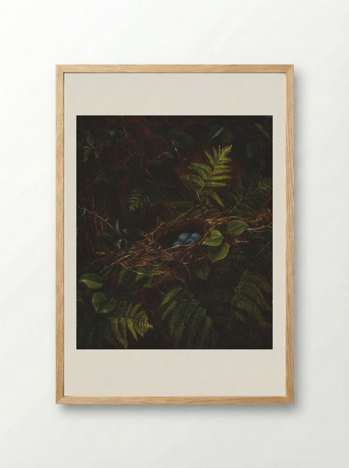 Bird's Nest and Ferns - Fidelia Bridges - Framed Print Wood