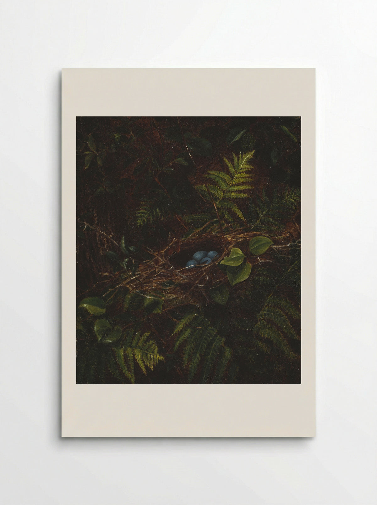 Bird's Nest and Ferns - Fidelia Bridges - Poster