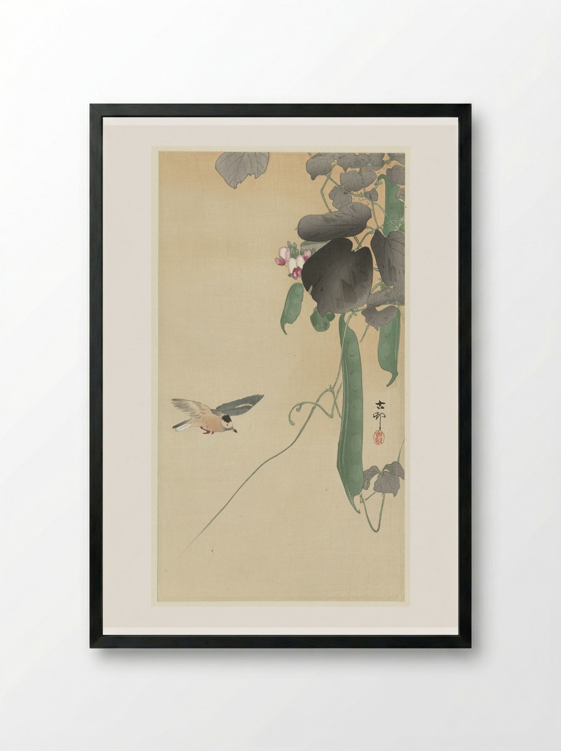 Bird with Flowering Bean Plant - Matsuki Heikichi - Framed Print Black