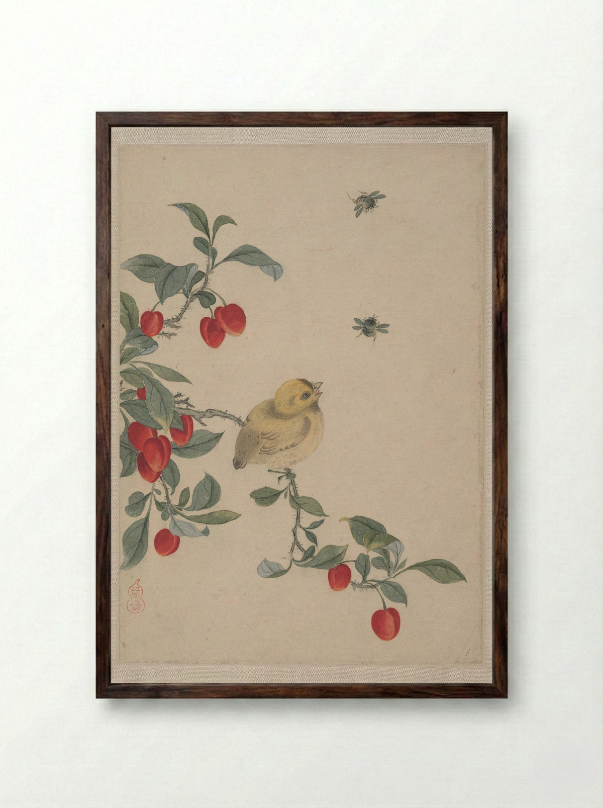 Birds, Insects and Flowers - Yi Zhai - Framed Print Dark Wood