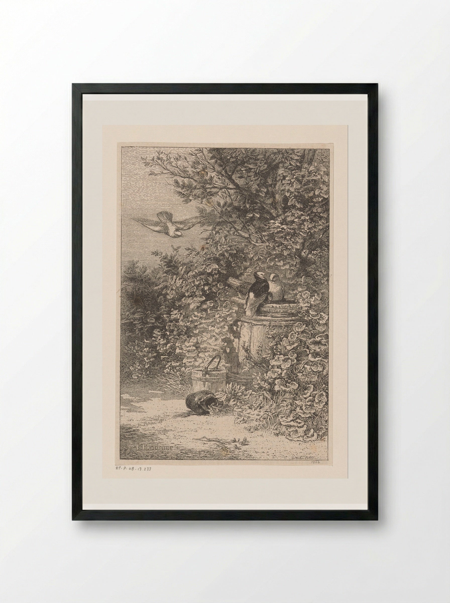 Birds by a Rain Barrel in the Undergrowth - Karl Bodmer - Framed Print Black