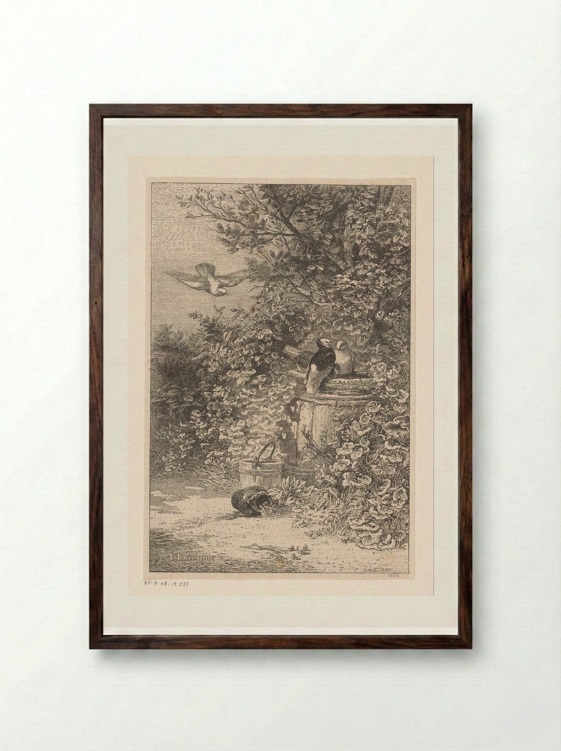 Birds by a Rain Barrel in the Undergrowth - Karl Bodmer - Framed Print Dark Wood