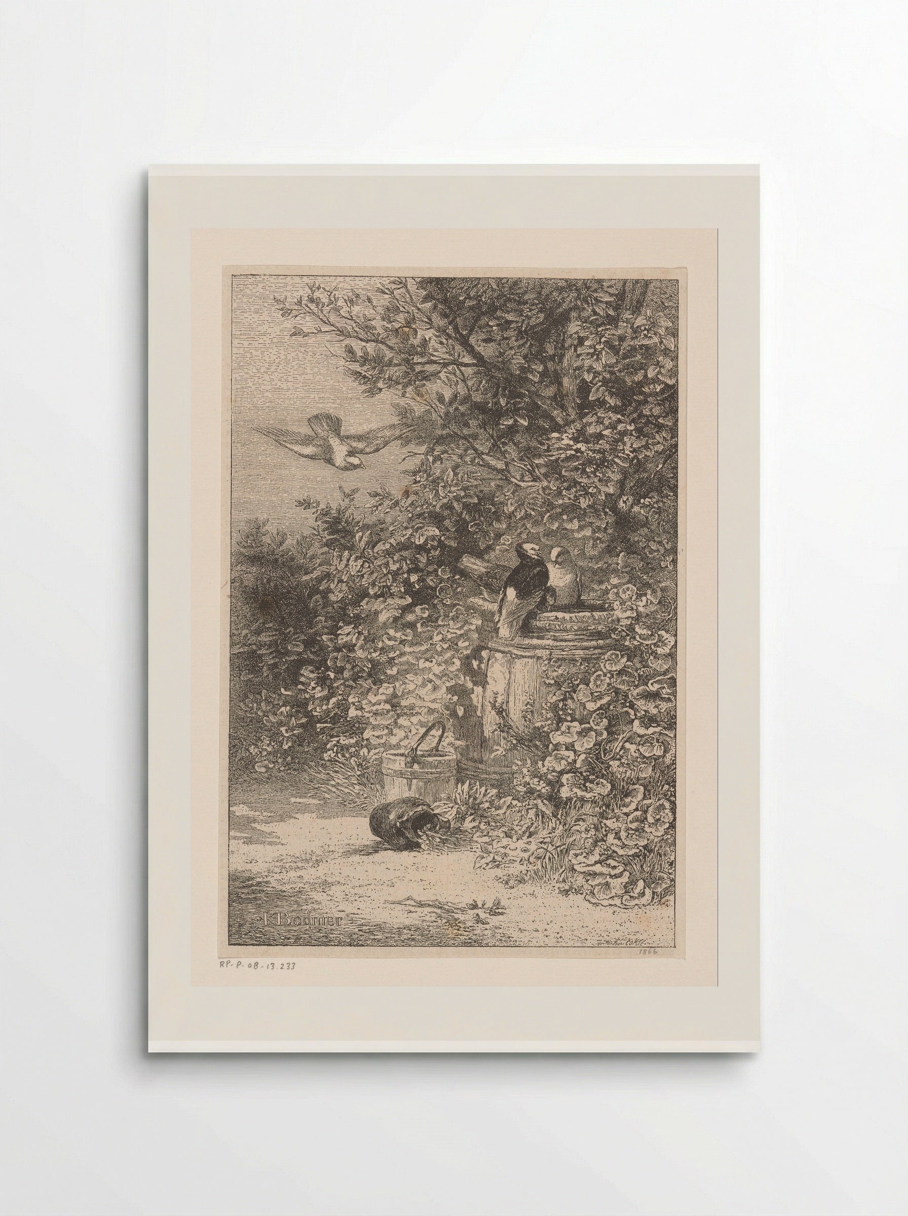 Birds by a Rain Barrel in the Undergrowth - Karl Bodmer - Poster