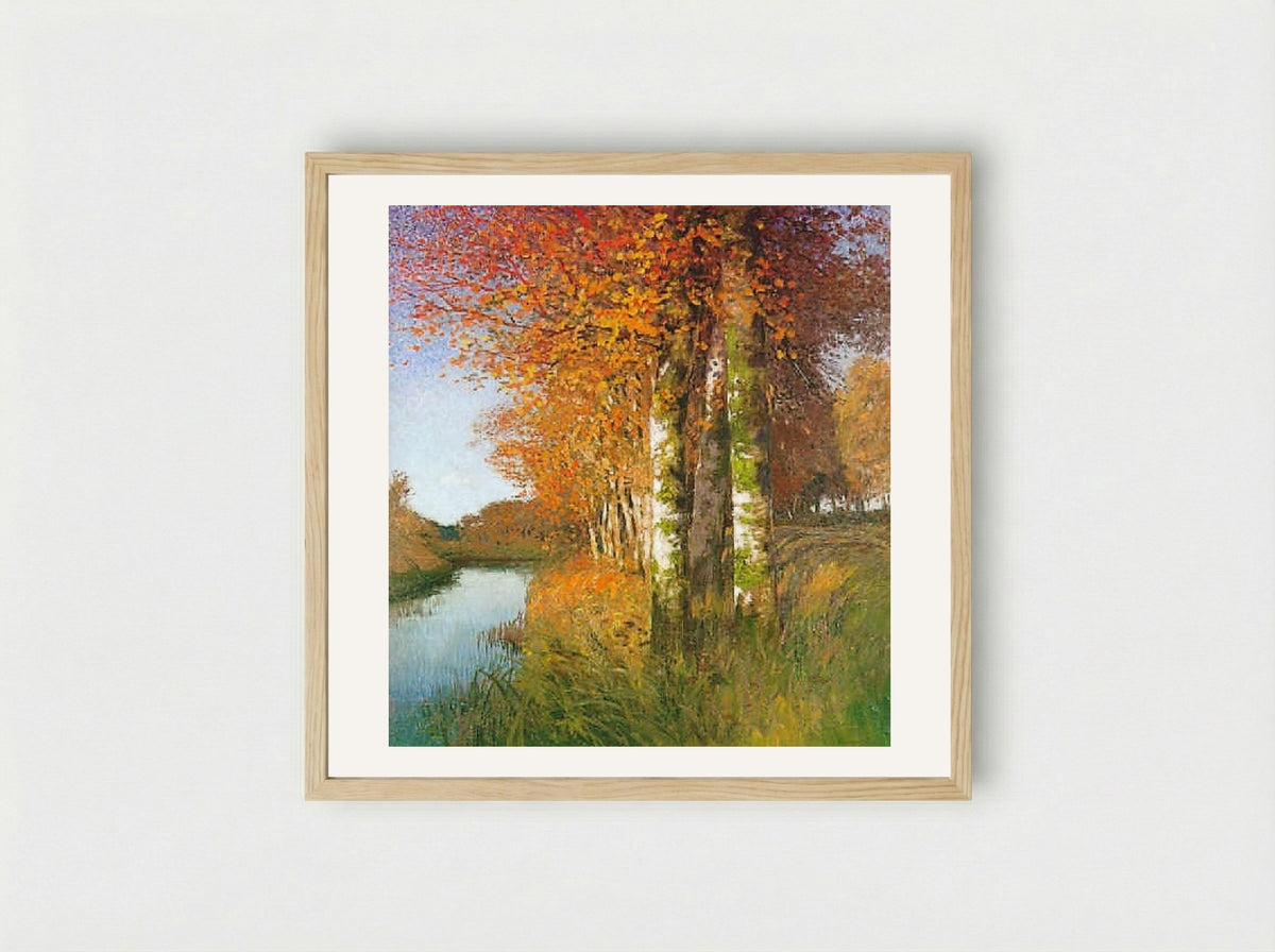 Birken am Moorgraben - Hans am Ende - Framed Print Wood