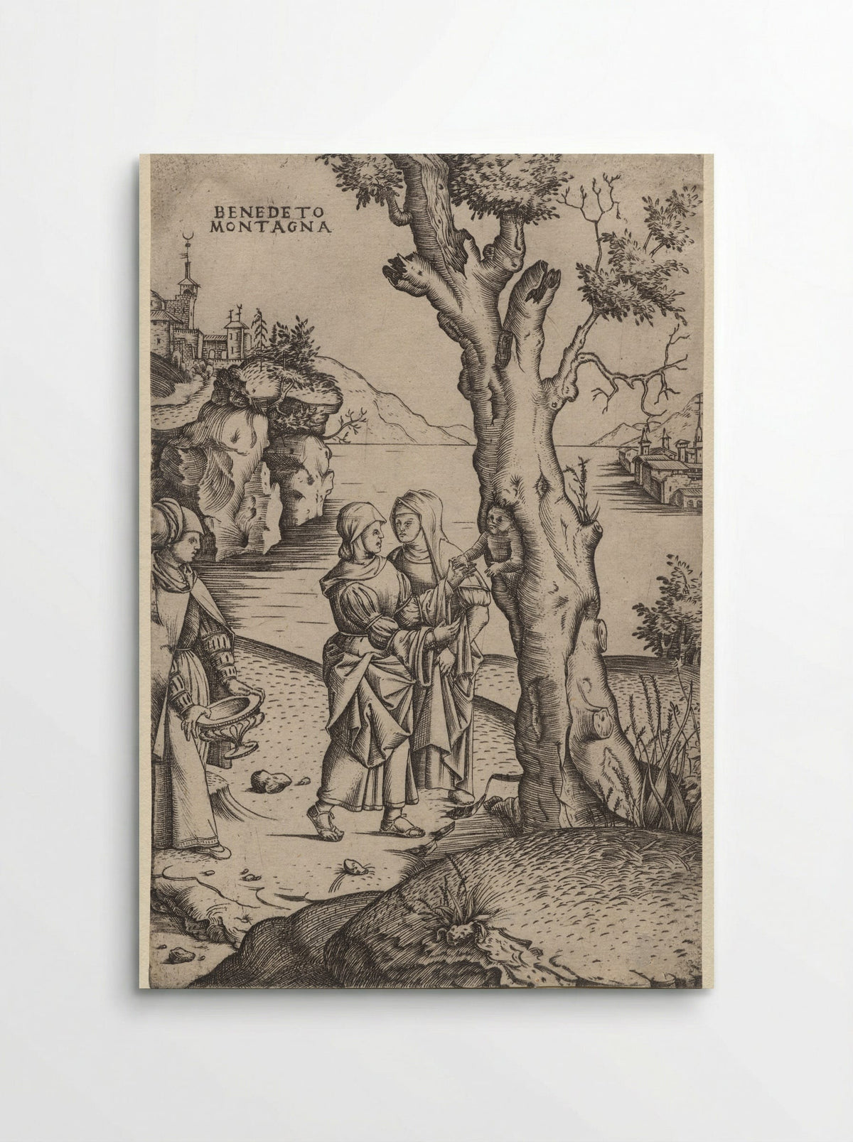 Birth of Adonis - Benedetto Montagna - Poster