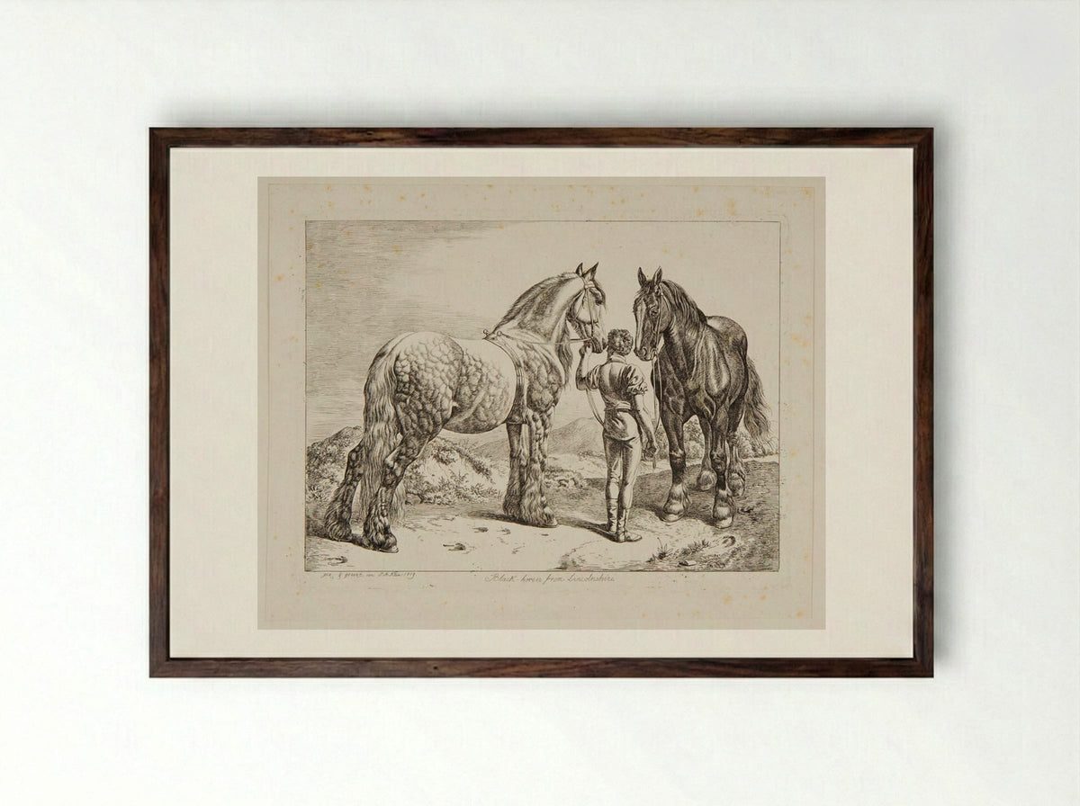 Black Horses from Lincolnshire - Johann Adam Klein - Framed Print Dark Wood
