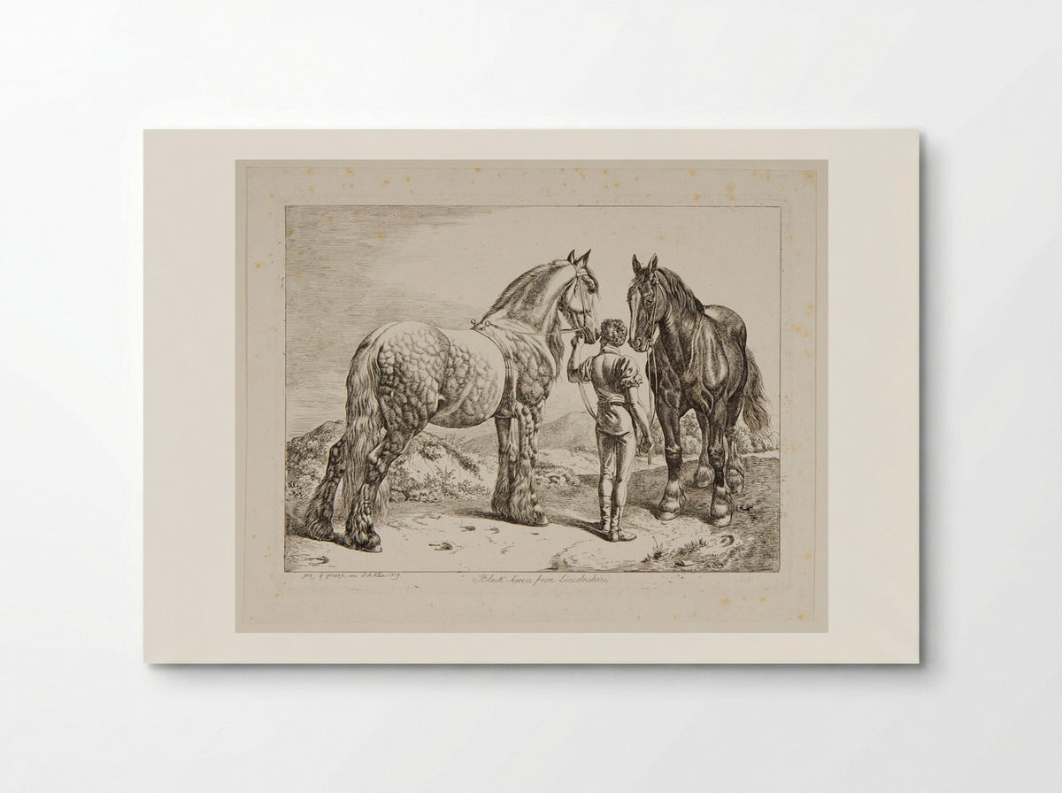 Black Horses from Lincolnshire - Johann Adam Klein - Poster