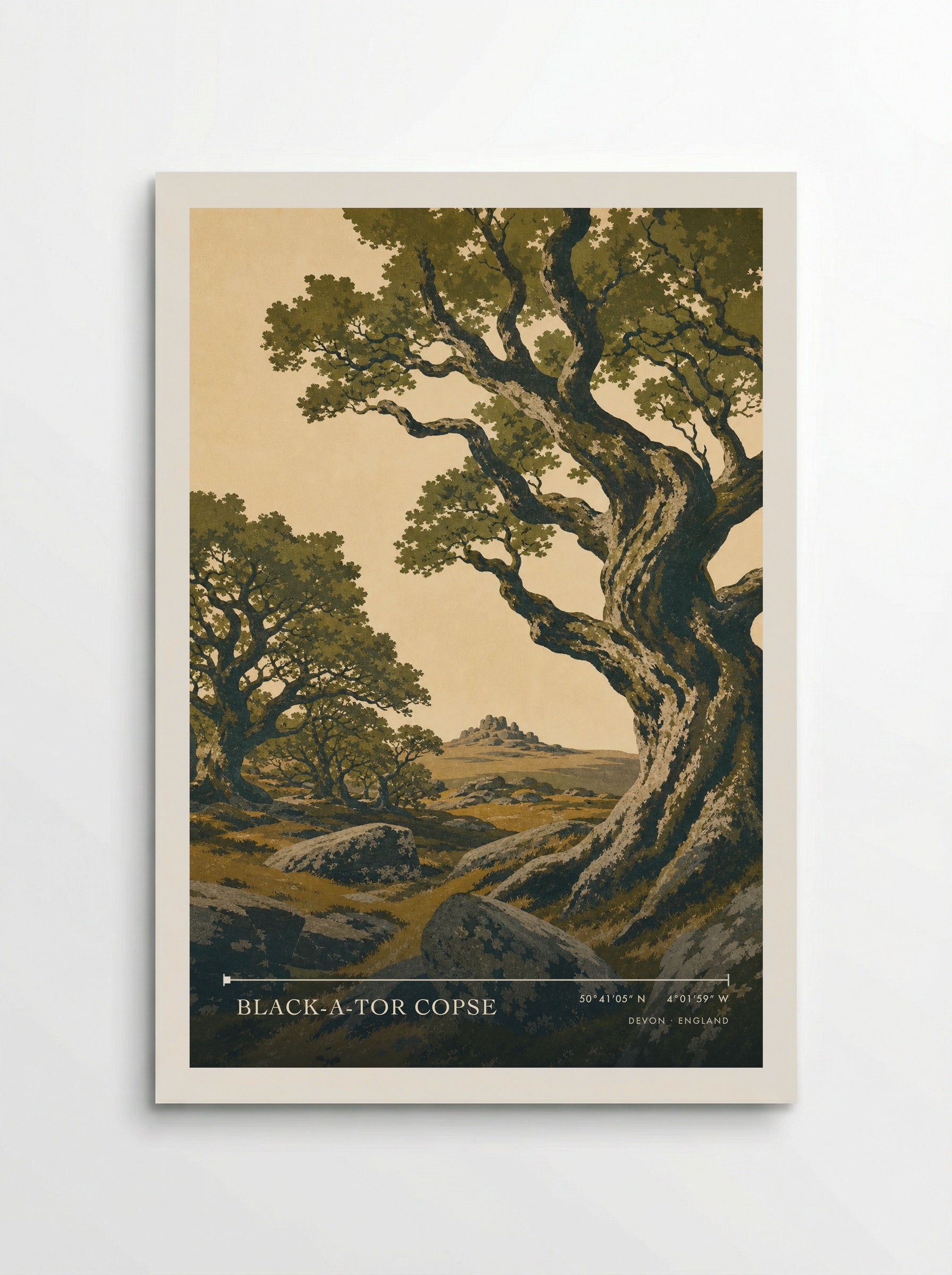 Black-a-Tor Copse Devon England Travel Poster - Poster