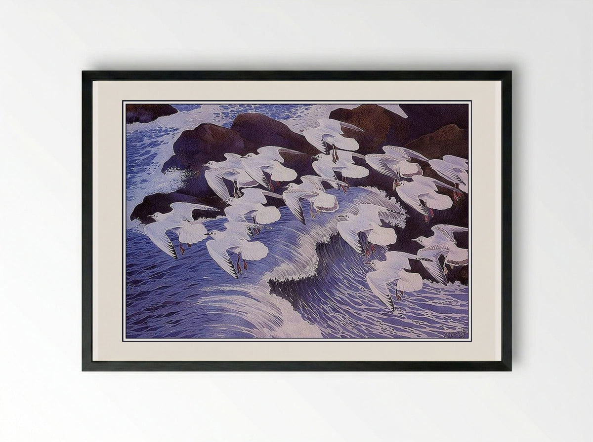 Black-headed Gulls - Charles Tunnicliffe - Framed Print Black