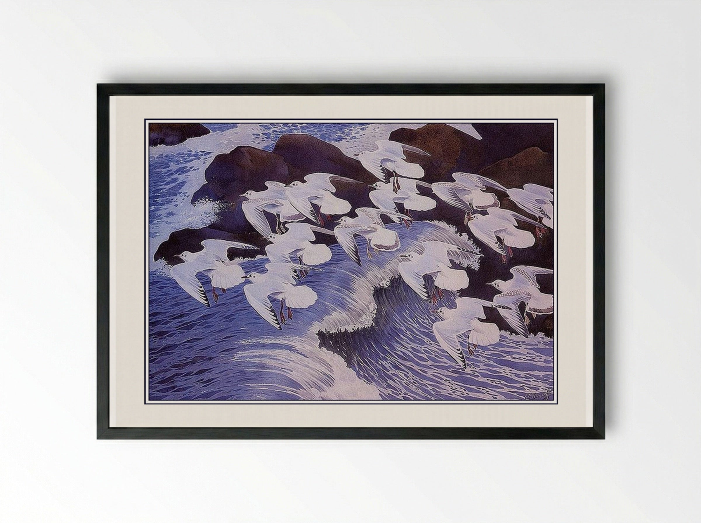 Black-headed Gulls - Charles Tunnicliffe - Framed Print Black