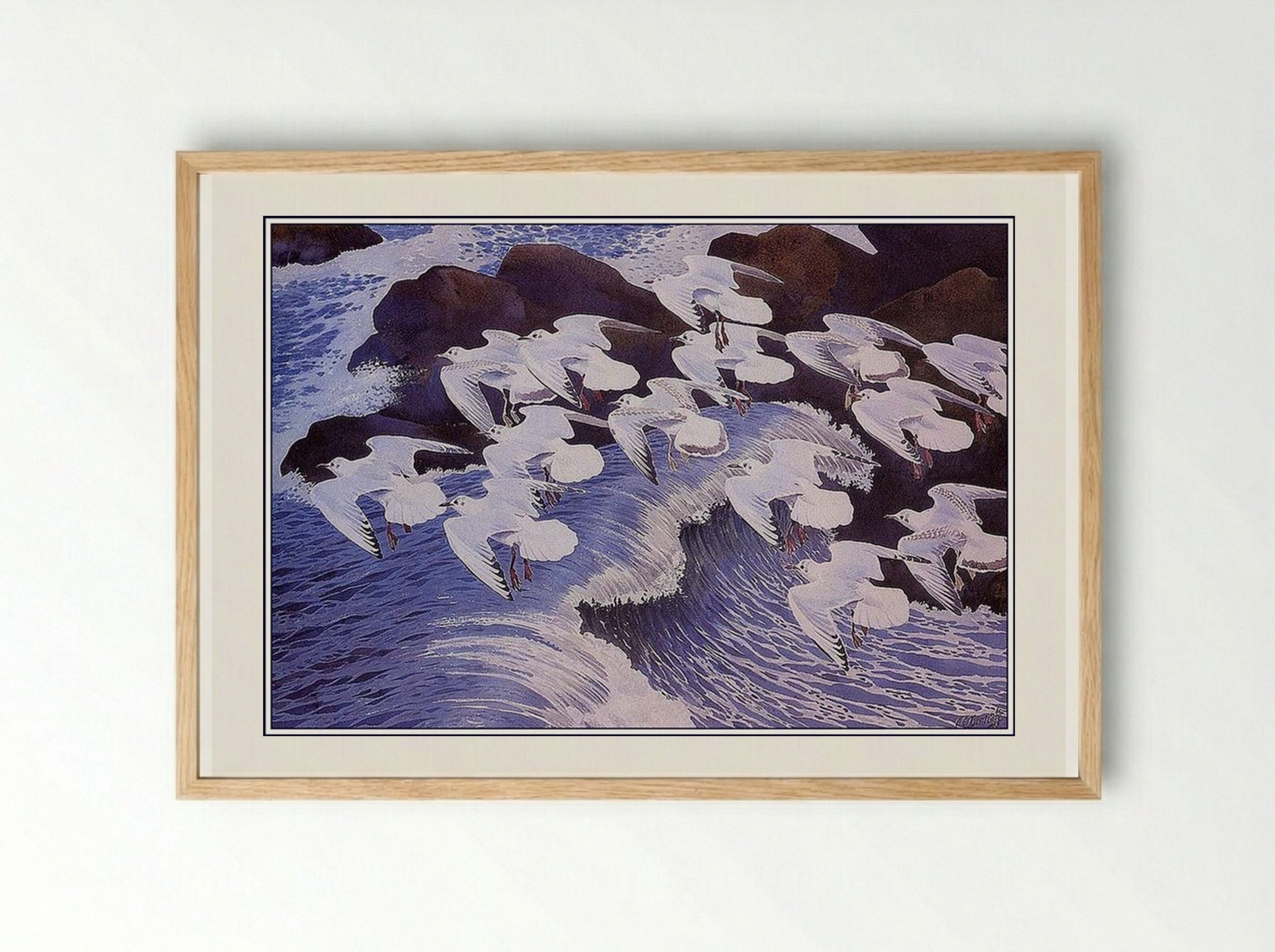 Black-headed Gulls - Charles Tunnicliffe - Framed Print Wood
