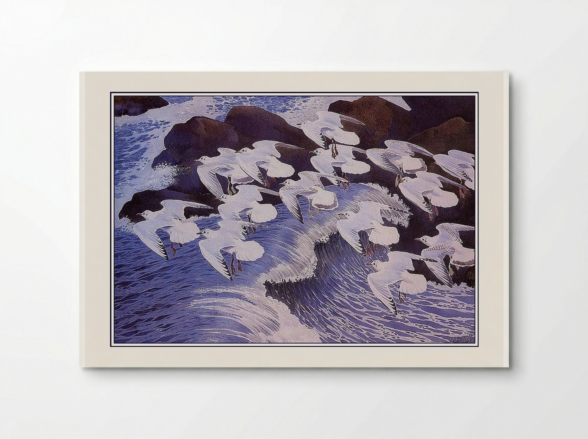 Black-headed Gulls - Charles Tunnicliffe - Poster