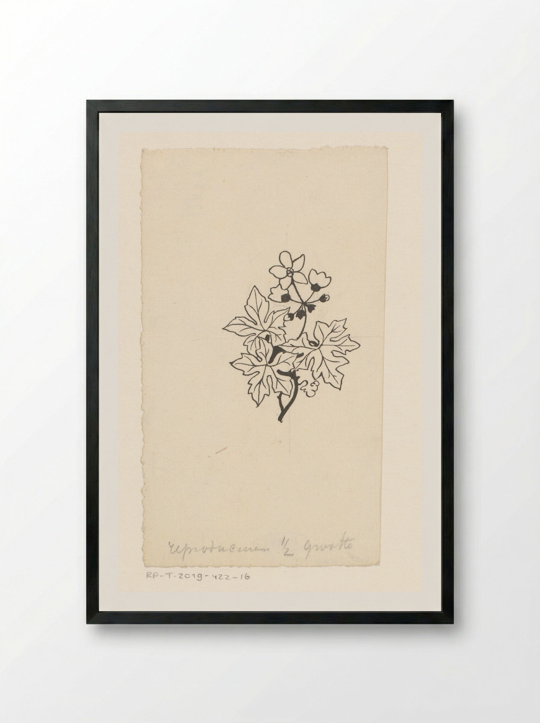 Bladeren en bloemen - Willem Wenckebach - Framed Print Black