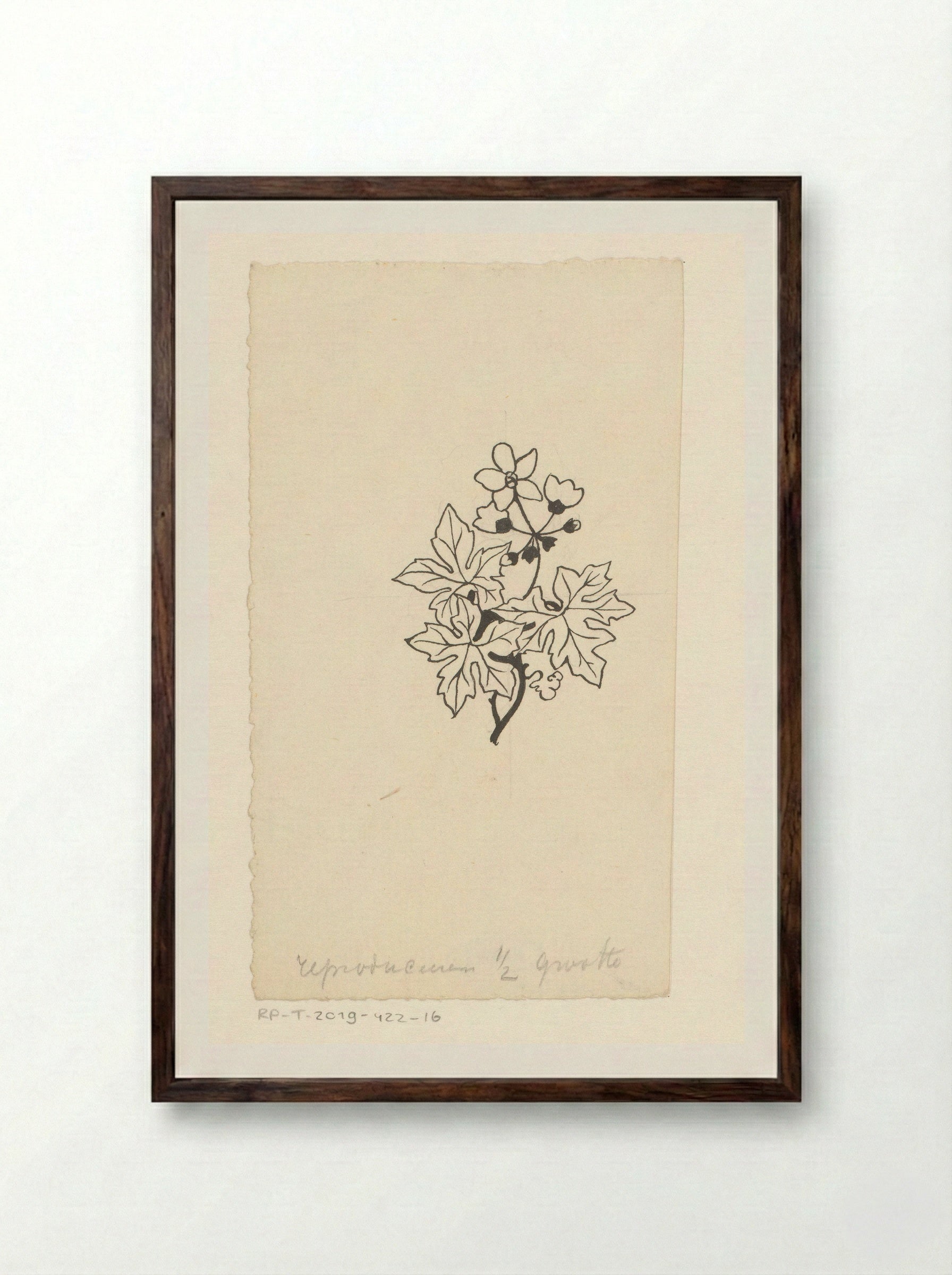 Bladeren en bloemen - Willem Wenckebach - Framed Print Dark Wood