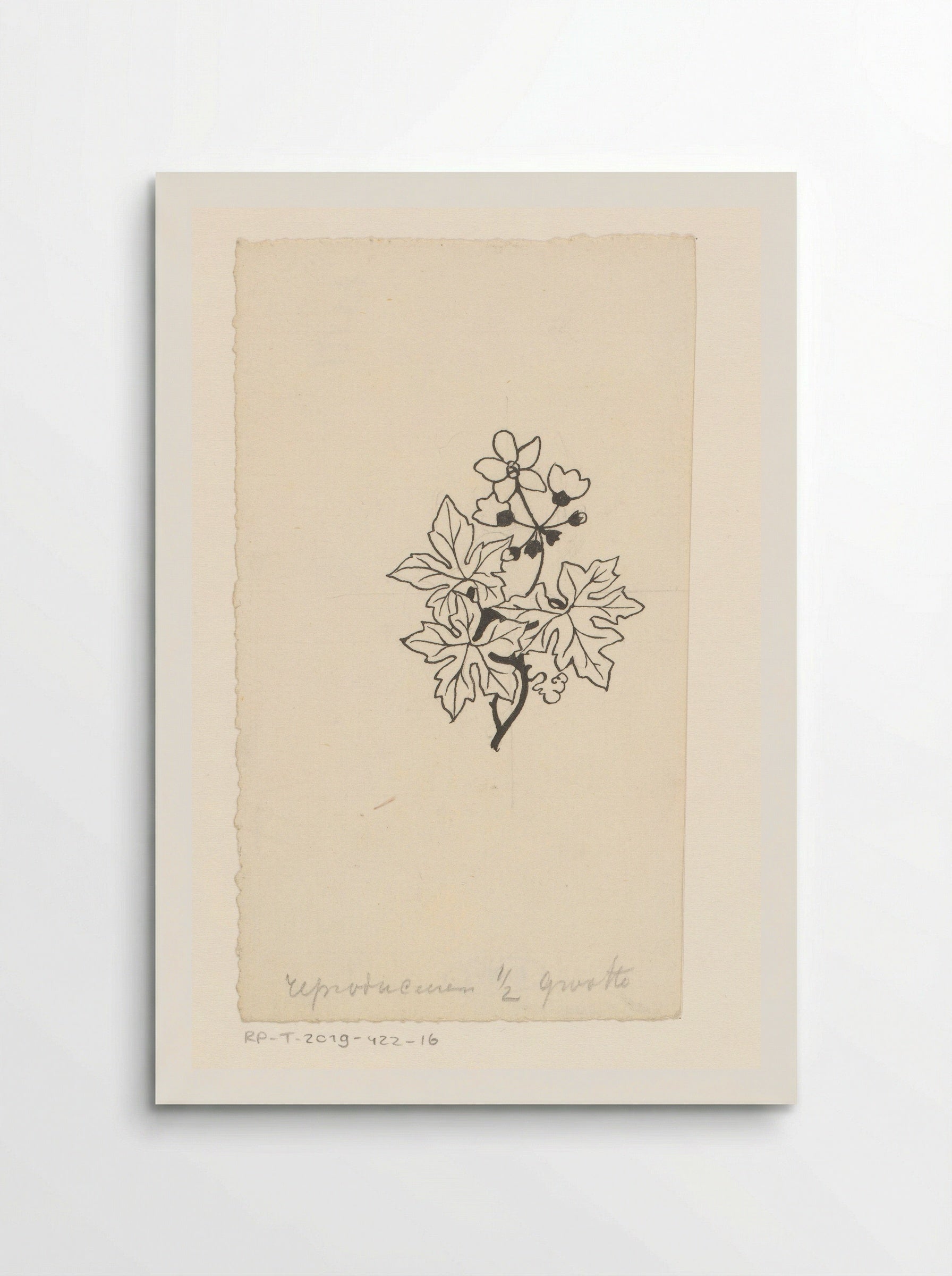 Bladeren en bloemen - Willem Wenckebach - Poster