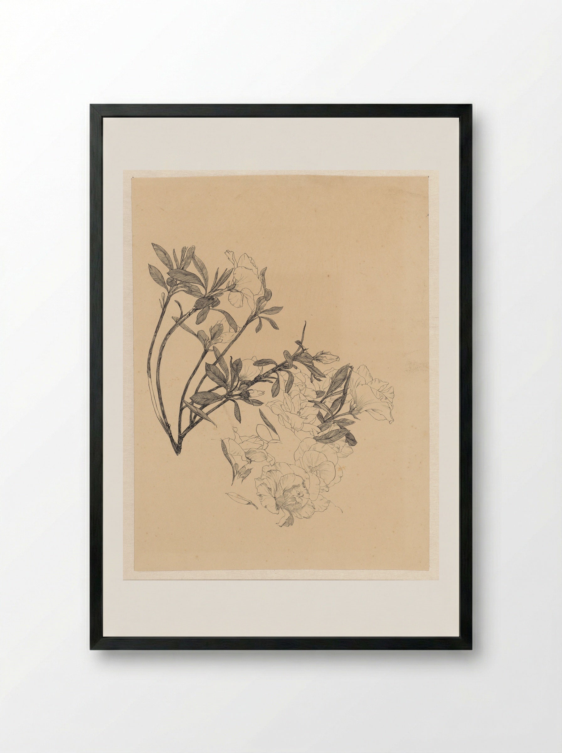 Bloeiende Azalea-takjes - Johanna Quirina van Regteren Altena - Framed Print Black