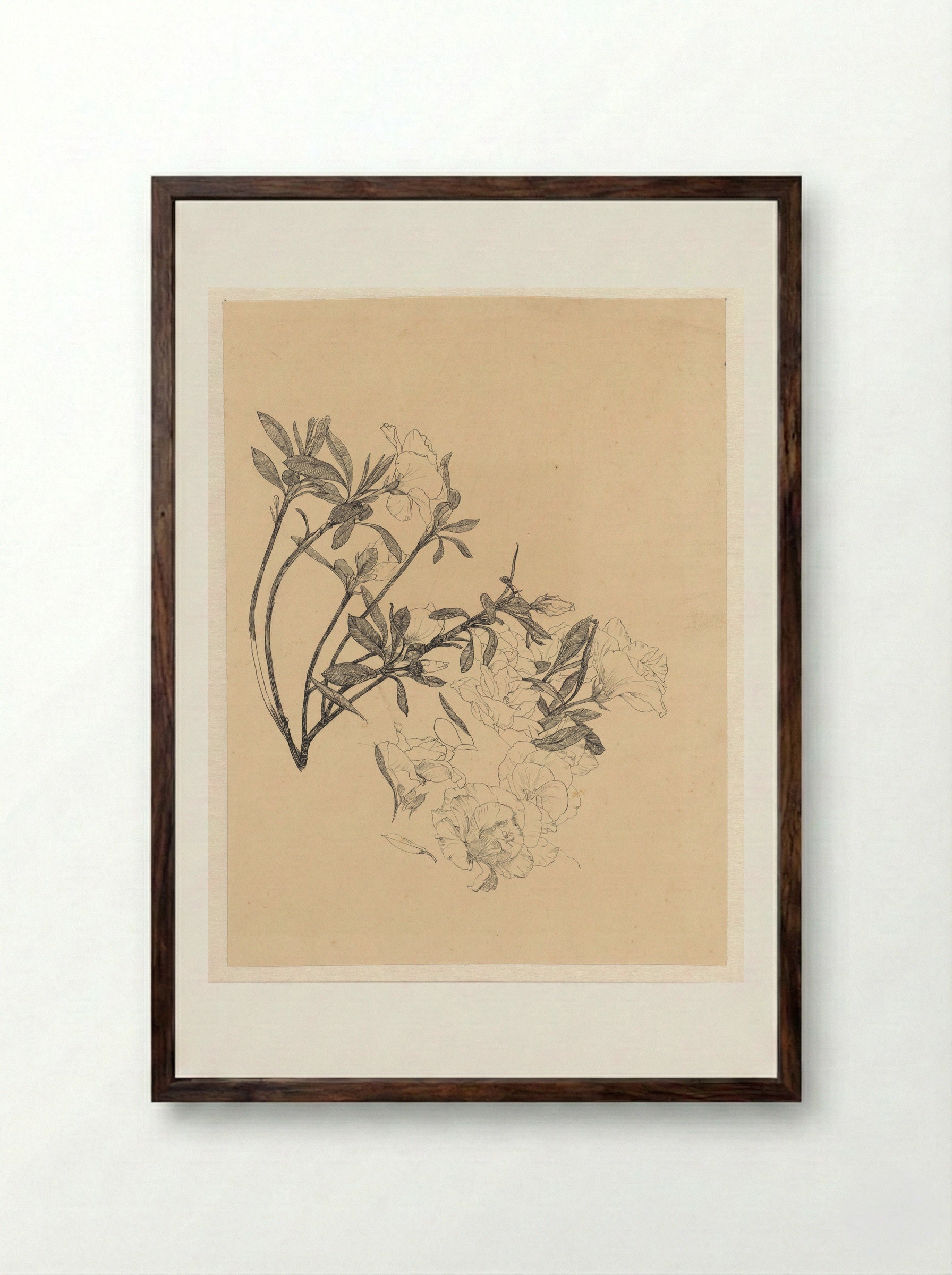 Bloeiende Azalea-takjes - Johanna Quirina van Regteren Altena - Framed Print Dark Wood