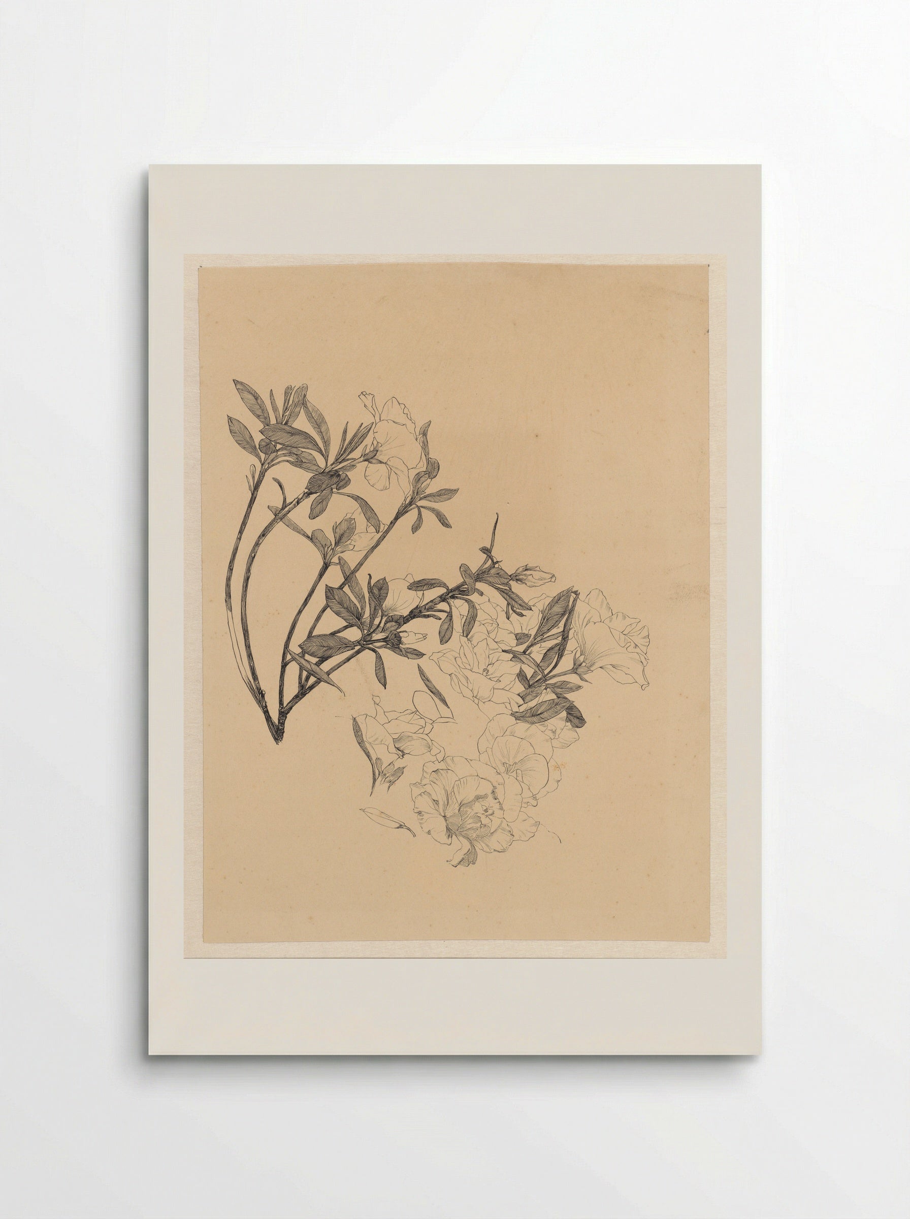 Bloeiende Azalea-takjes - Johanna Quirina van Regteren Altena - Poster