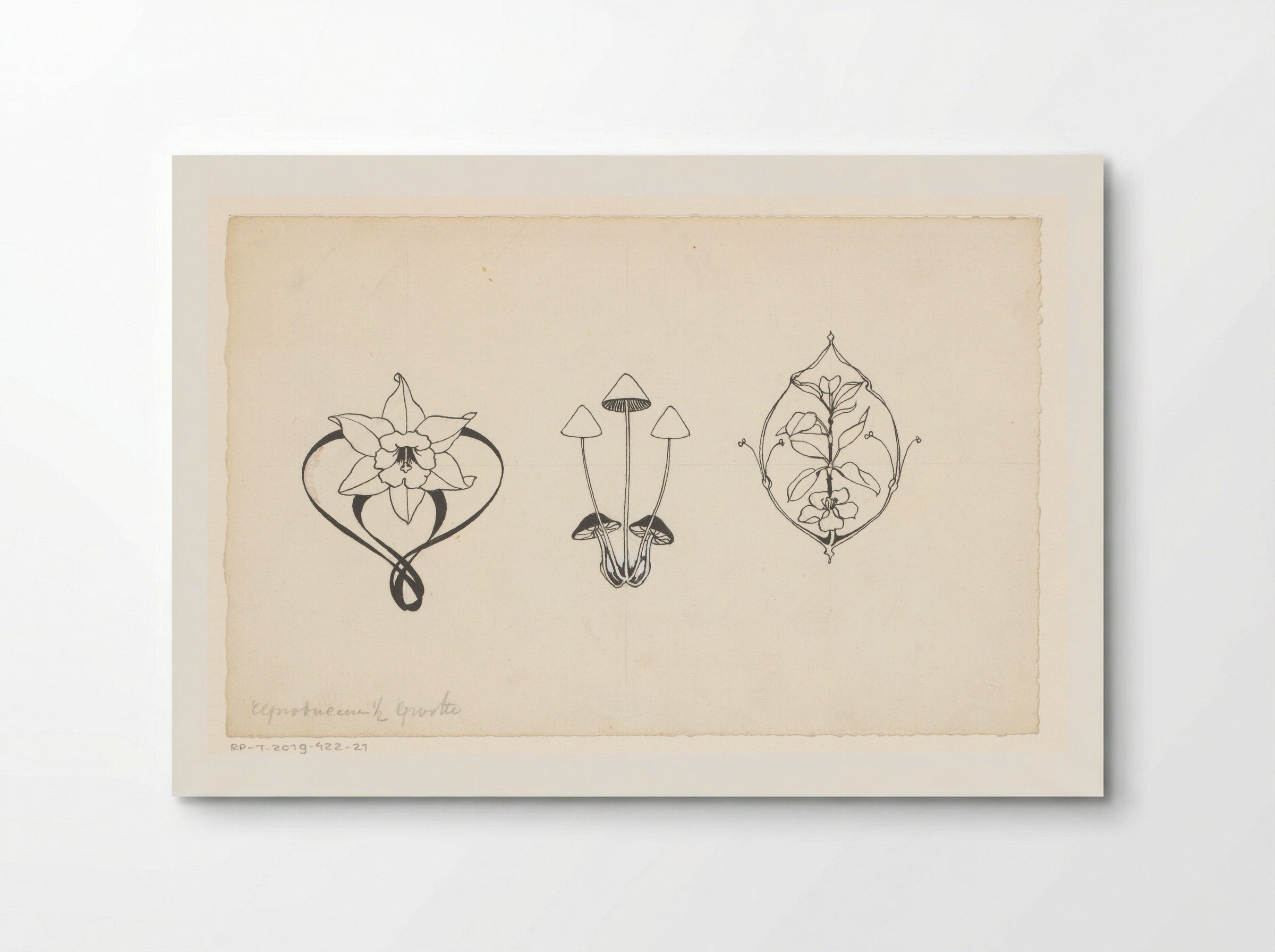 Bloemen en paddenstoelen - Willem Wenckebach - Poster