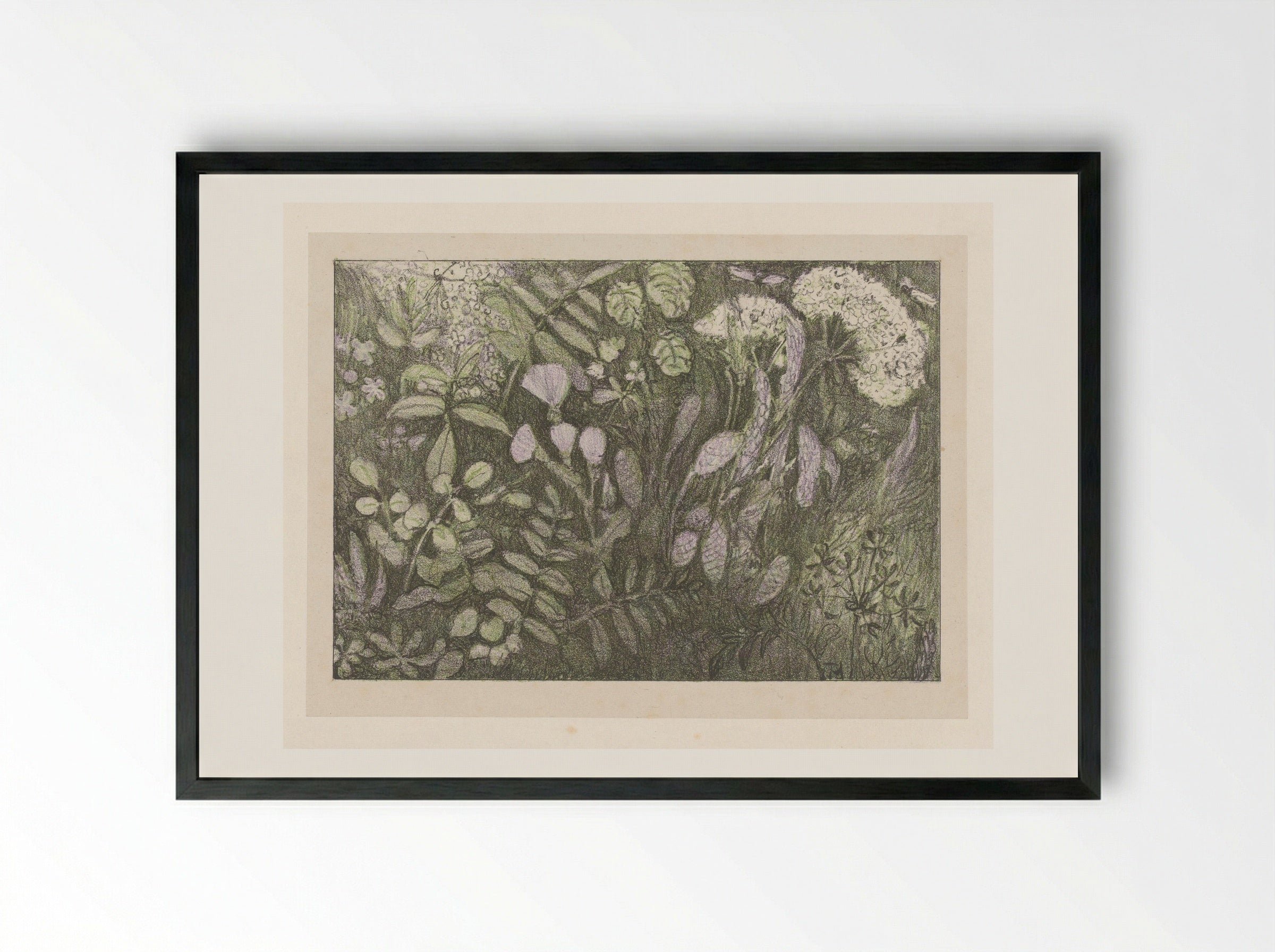 Bloemen en planten - Theo van Hoytema - Framed Print Black