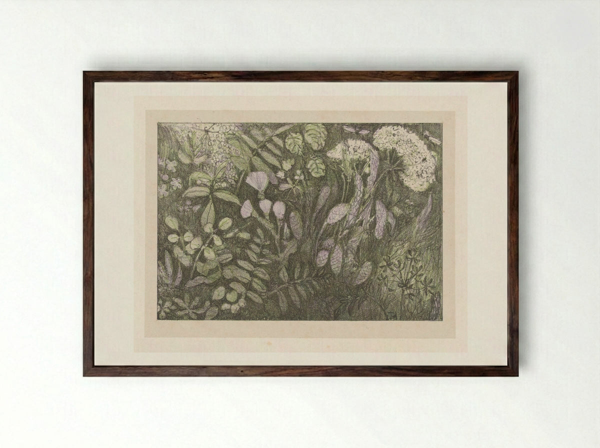 Bloemen en planten - Theo van Hoytema - Framed Print Dark Wood